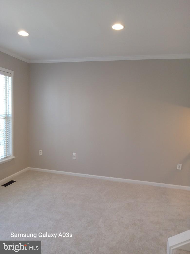 POTOMAC HUNT - Residential