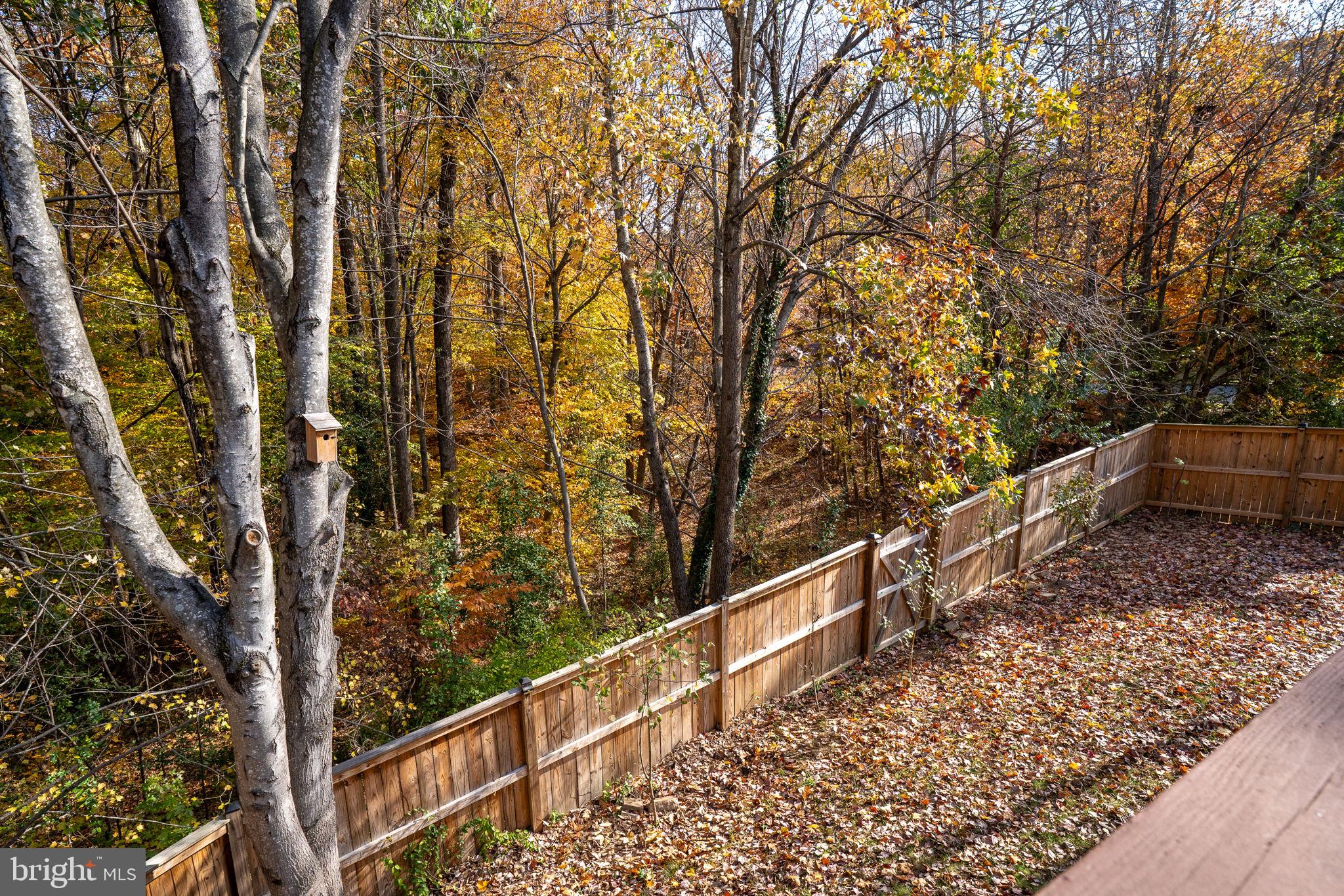 WHITSON RIDGE - Residential