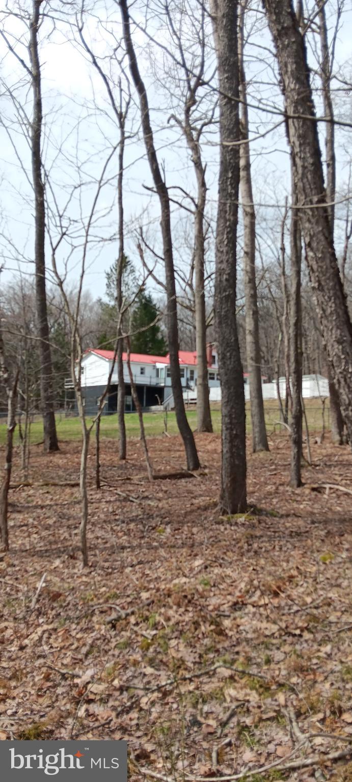 1243 SHAFFER MOUNTAIN ROAD