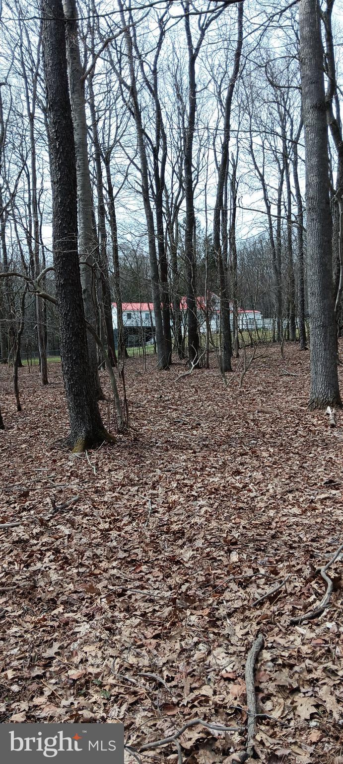 1243 SHAFFER MOUNTAIN ROAD