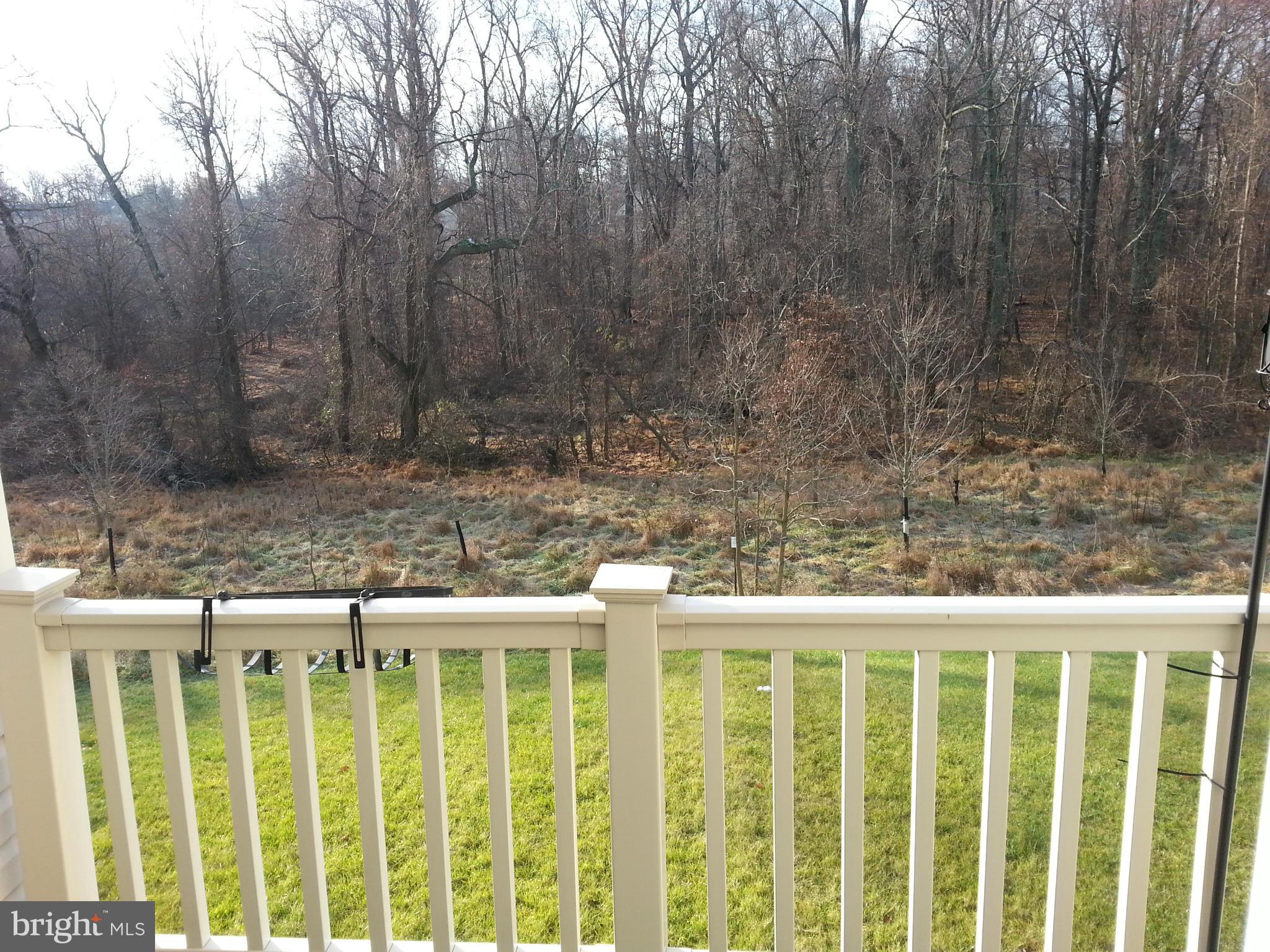 BRUNTON - Residential Lease