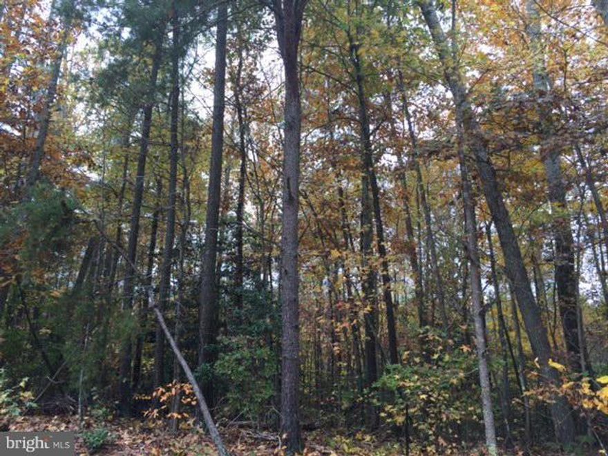 Bring your Builder! Almost 1/2 acre (.48)  in community with convenient recreational water access! Great lot to build your dream home on-already perked for conventional septic 3 Bedrooms!