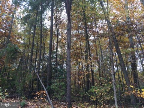 Vacant Land For Sale - 214 Norfolk Drive<br/> Caroline County, RUTHER GLEN, VA 22546