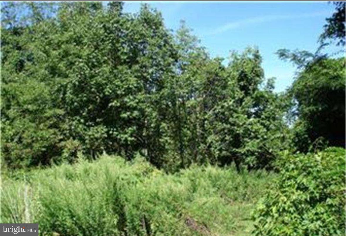 Magnificent wooded LOT bordering Pennypack Ecological Wildlife Preserve. Excellent location - in sought after Bryn Athyn. Very private, peaceful setting, picturesque and tranquil views, 5.42 acres, incredibly low tax base.
Schedule your showing today!