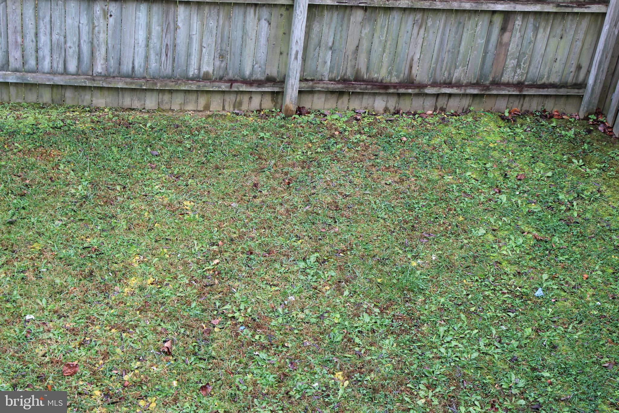 MAPLE SHADE - Residential Lease