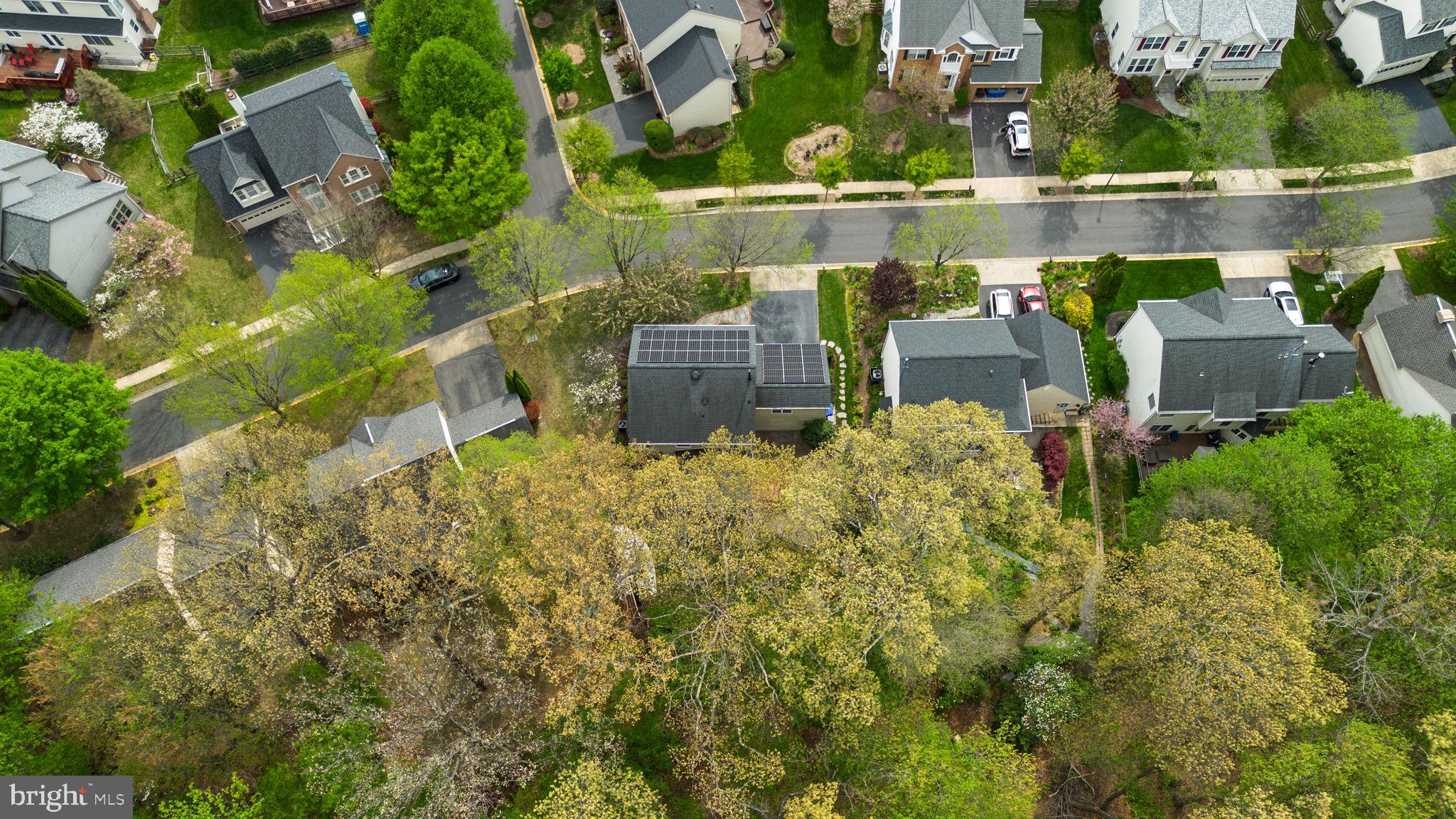 MONTGOMERY VILLAGE - Residential