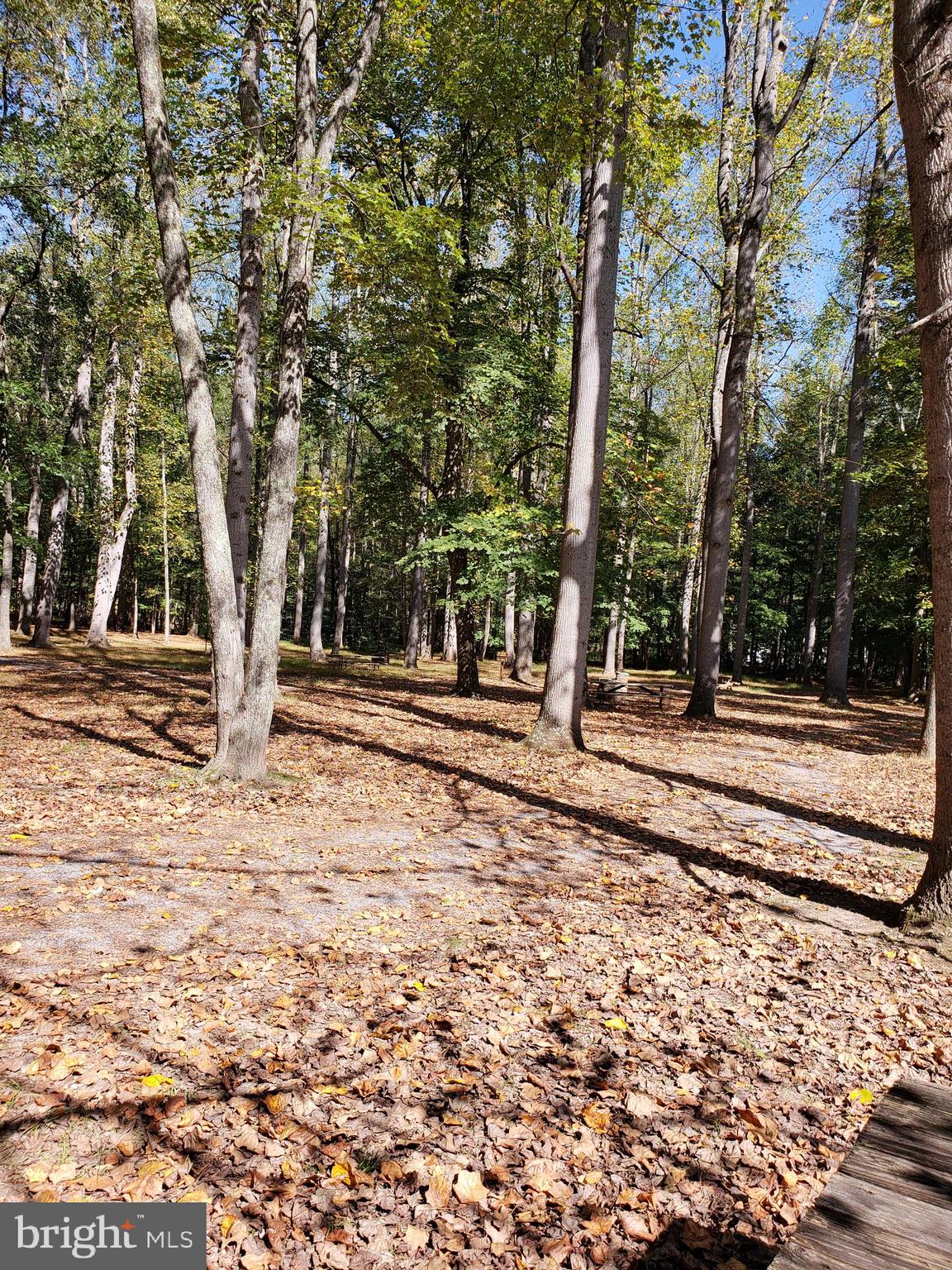 RIVER RIDGE SUBDIVISION - Land