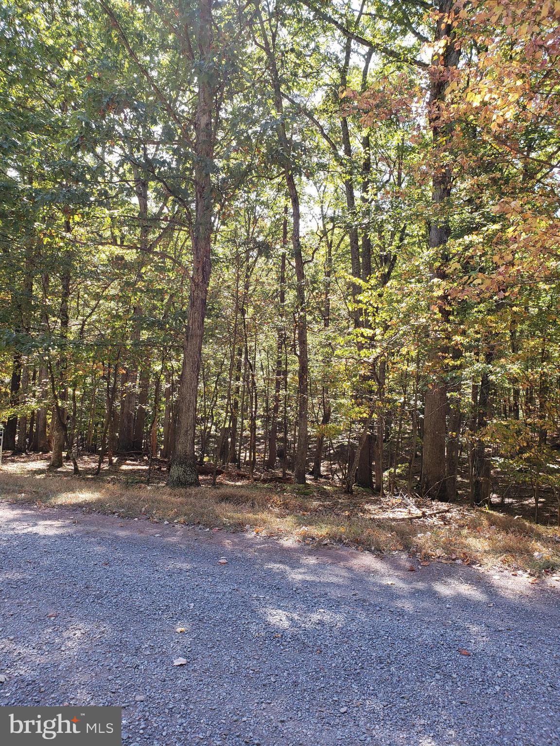 RIVER RIDGE SUBDIVISION - Land