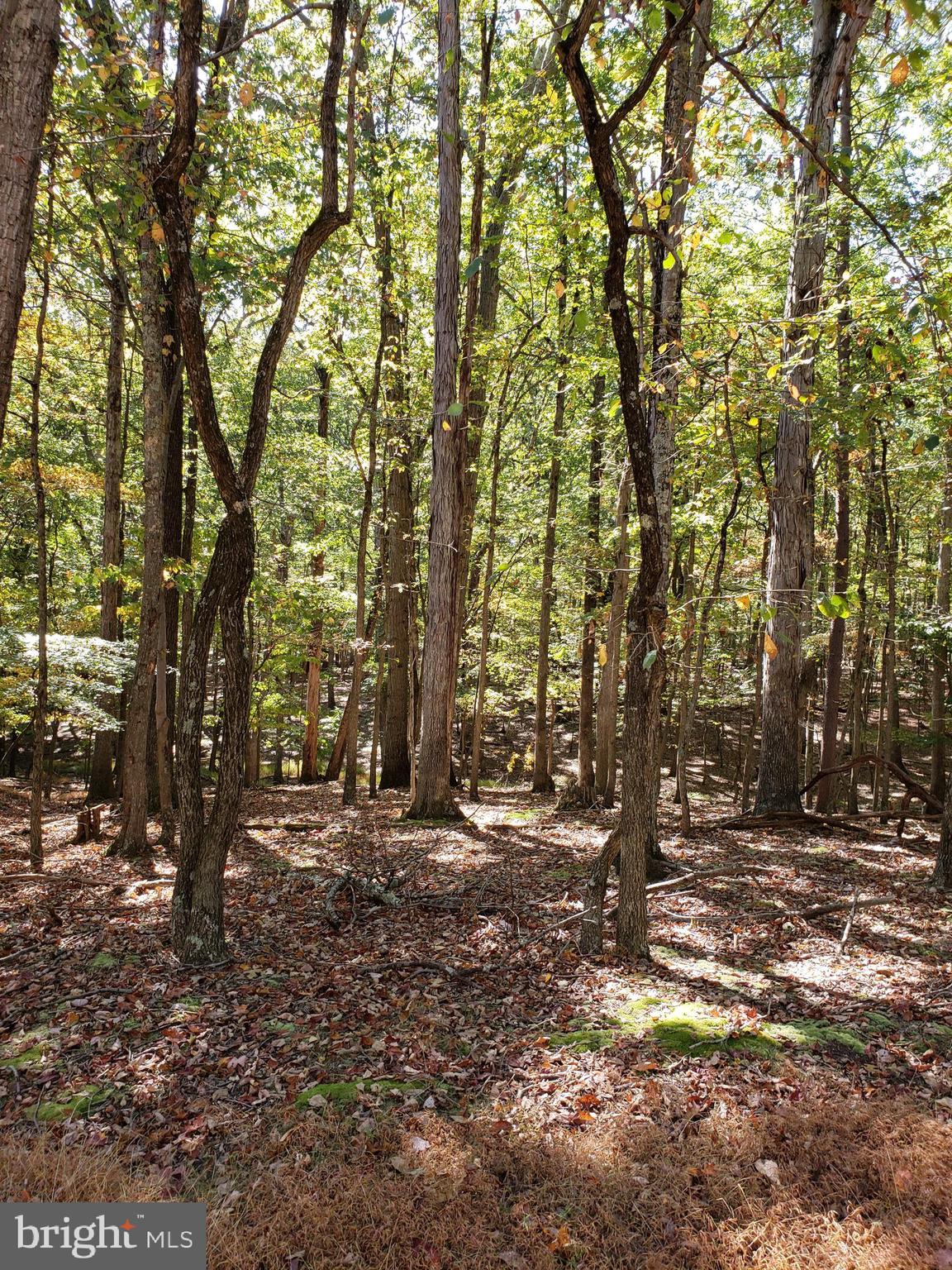 RIVER RIDGE SUBDIVISION - Land