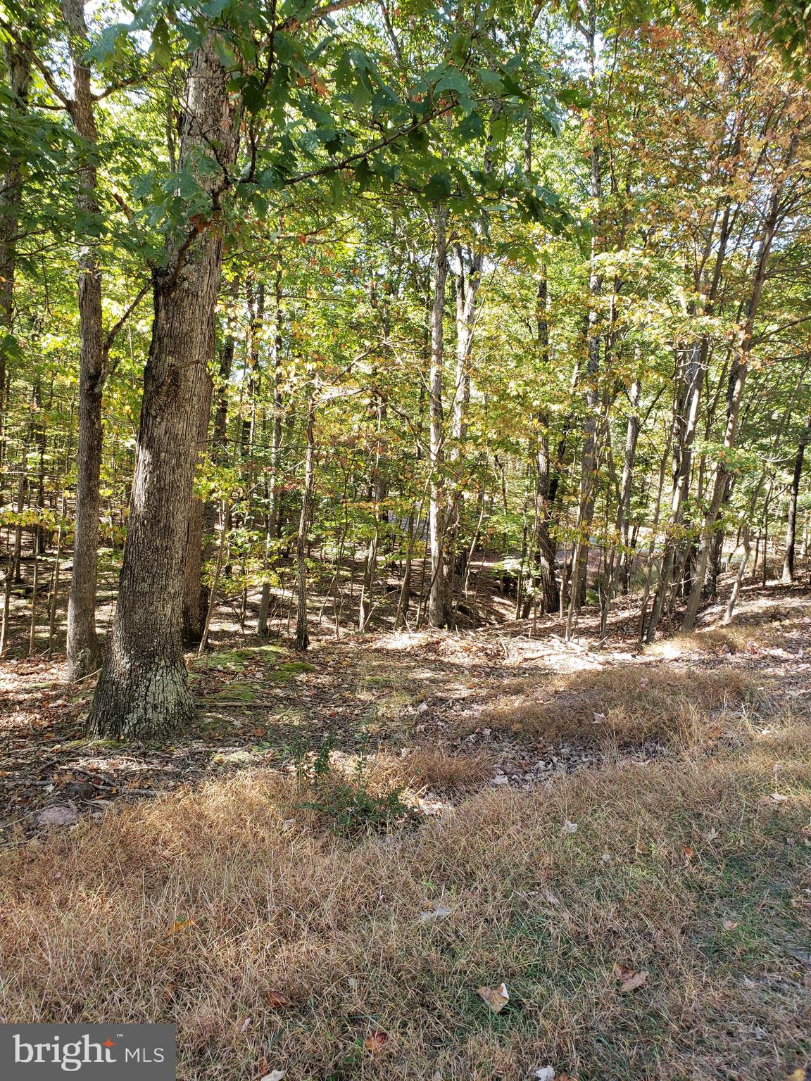 RIVER RIDGE SUBDIVISION - Land