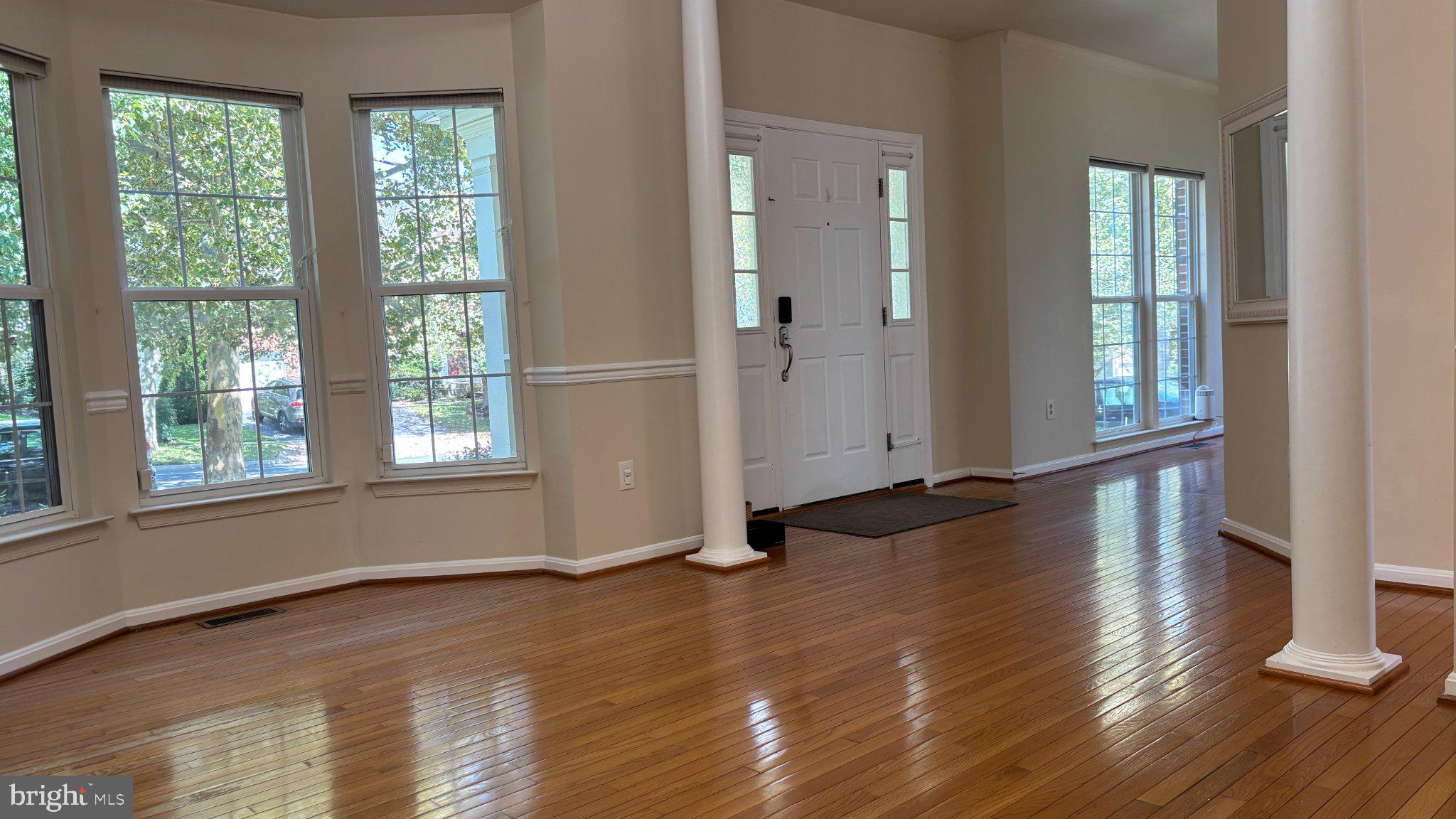 21117 TALL CEDAR