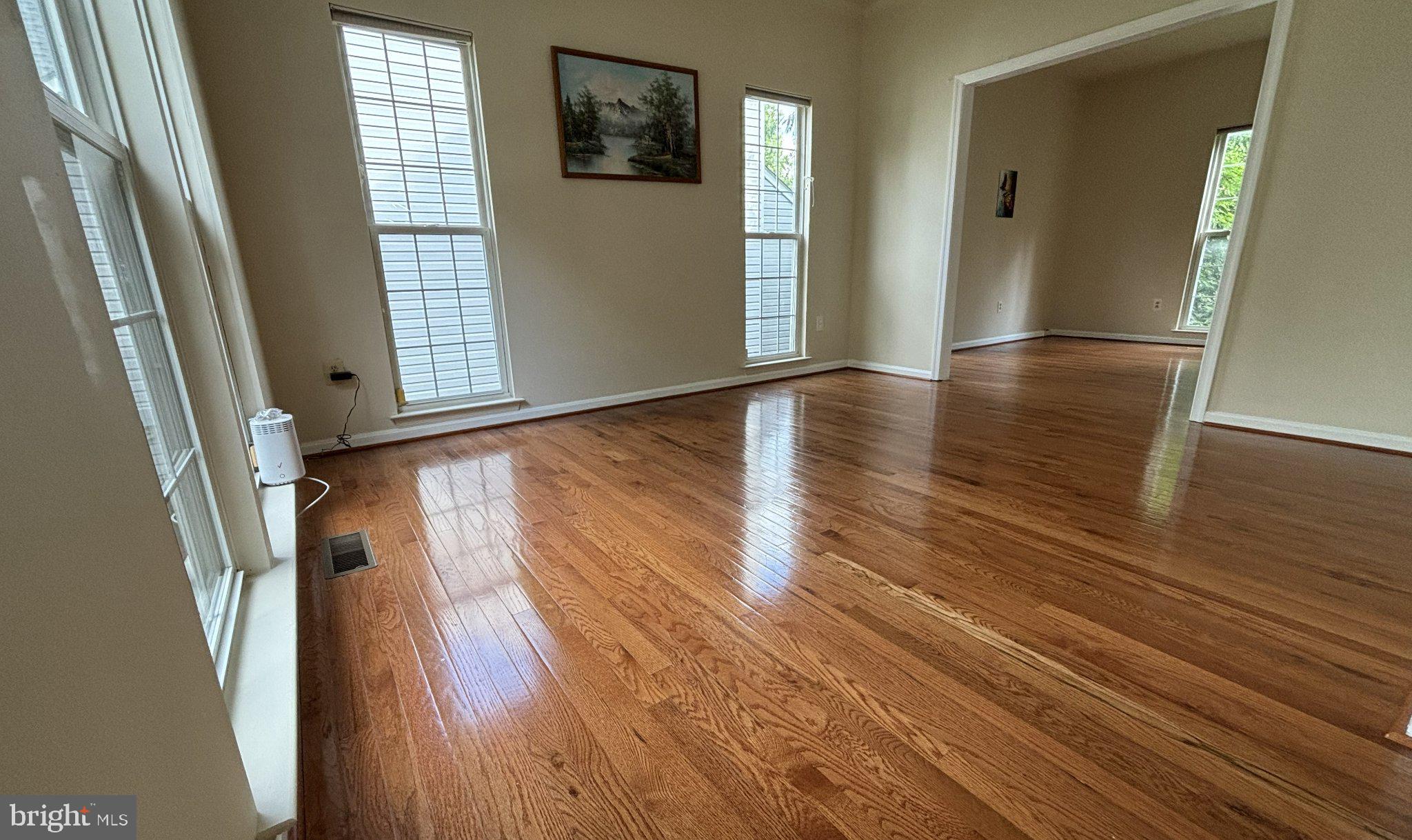 21117 TALL CEDAR