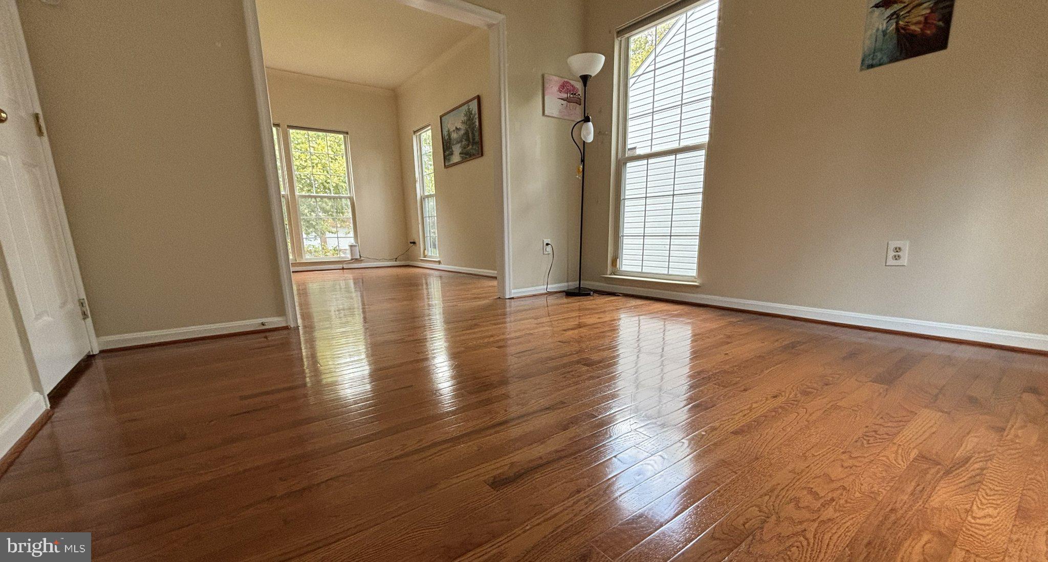 21117 TALL CEDAR