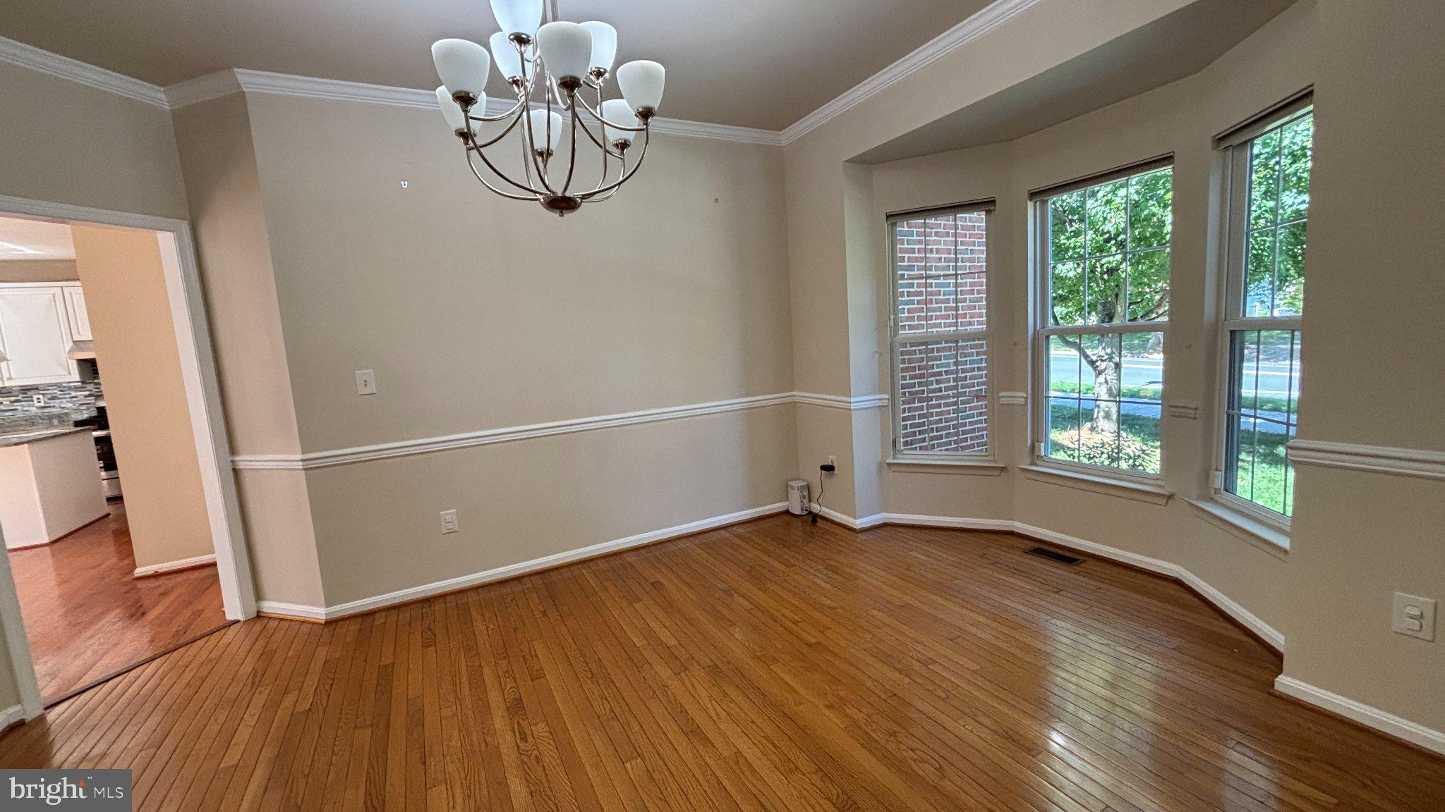 21117 TALL CEDAR