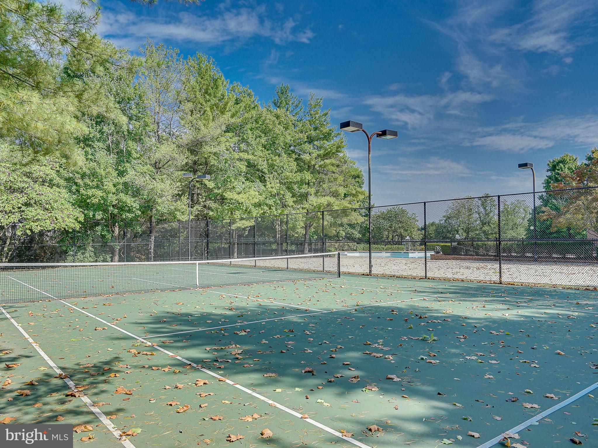 CHELSEA COURTS - Residential Lease