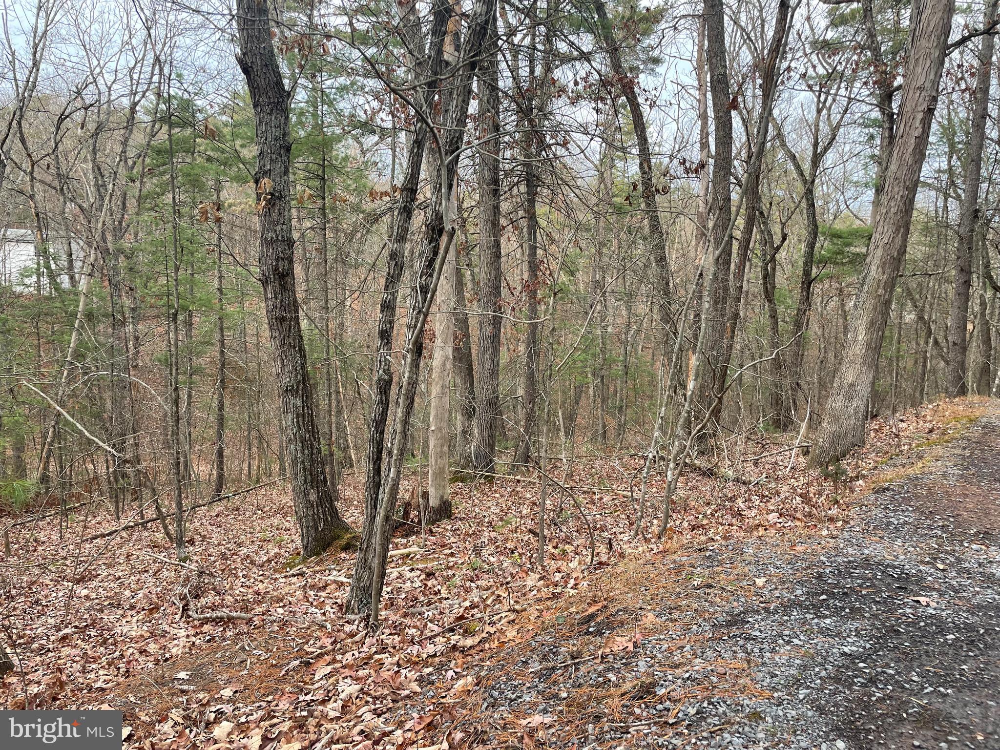 BRYCE MOUNTAIN - Land