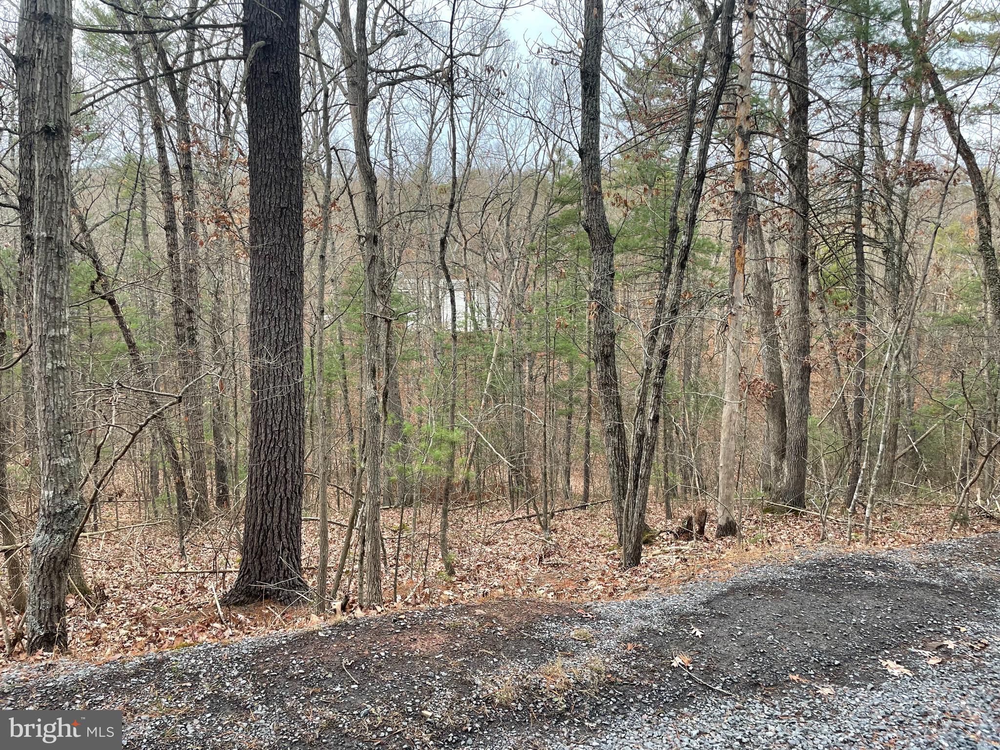 BRYCE MOUNTAIN - Land