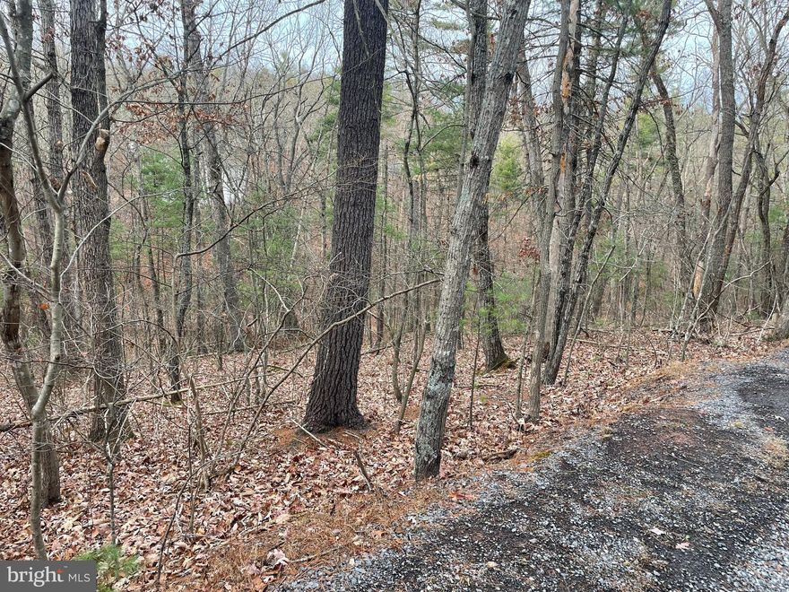 Looking for a place to build your forever home or vacation getaway? This larger .64 acre lot is tucked away on a quiet street near Bryce Resort ,and is well suited for a home with a walk out basement.