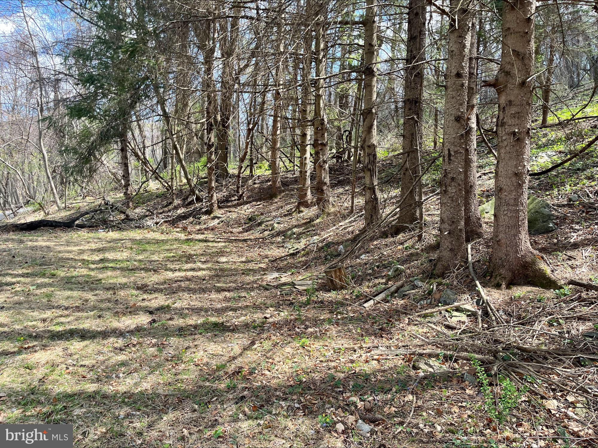 SKYLINE LAKES - Land