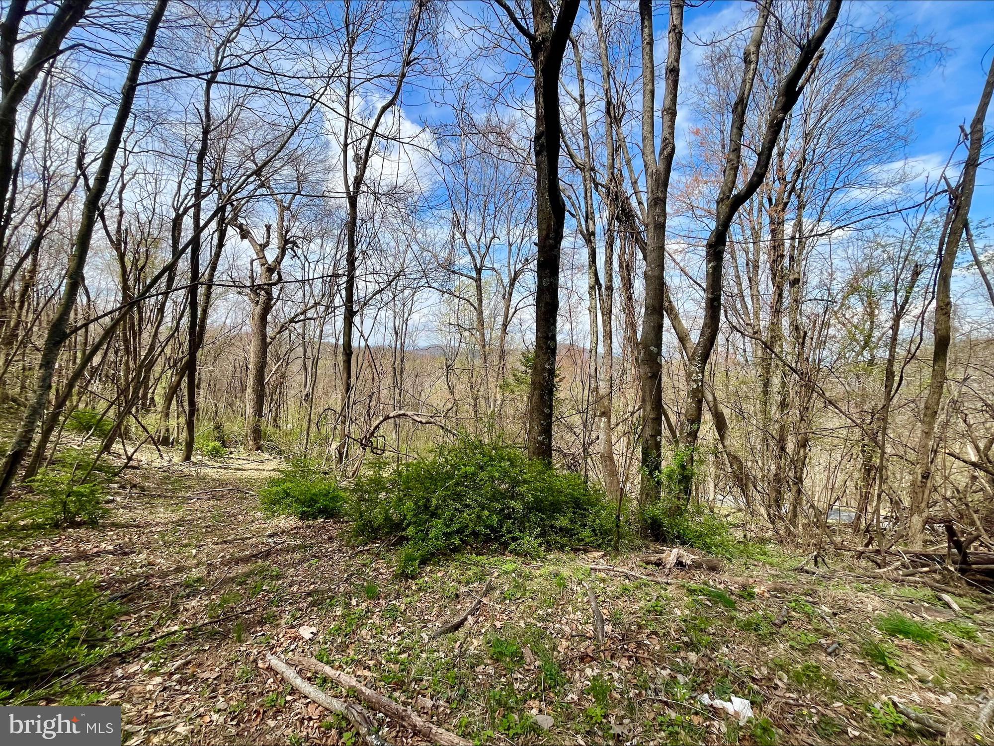 SKYLINE LAKES - Land