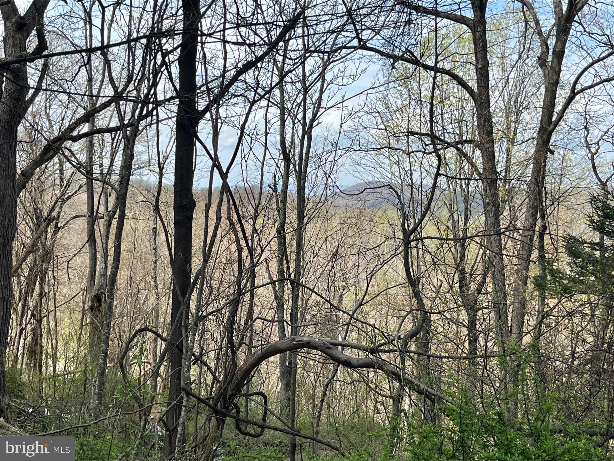 SKYLINE LAKES - Land