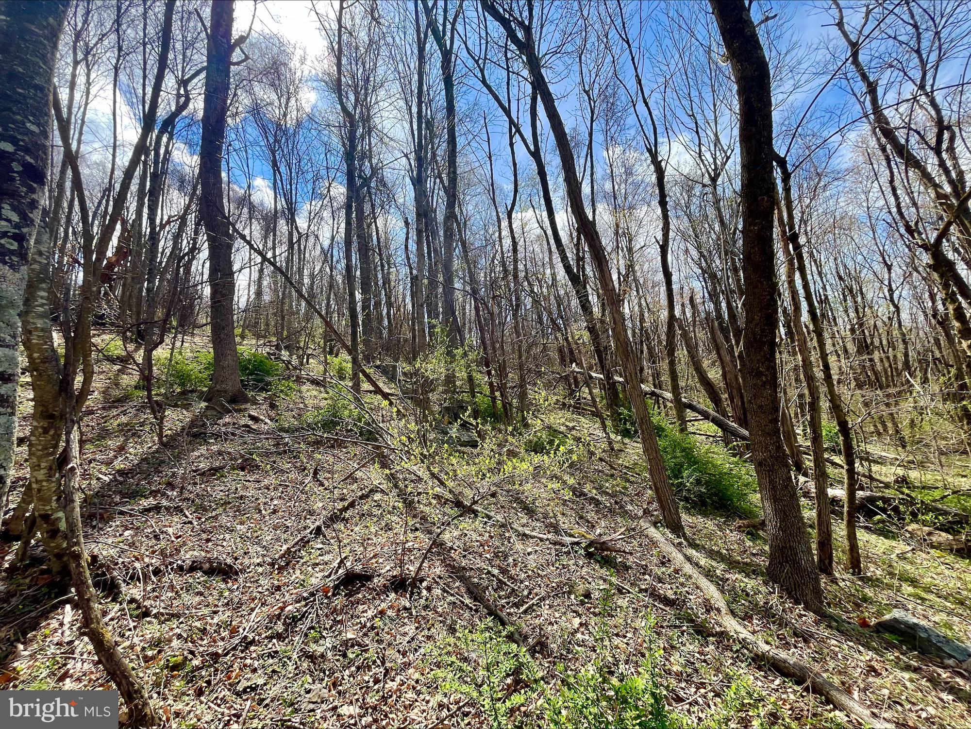 SKYLINE LAKES - Land