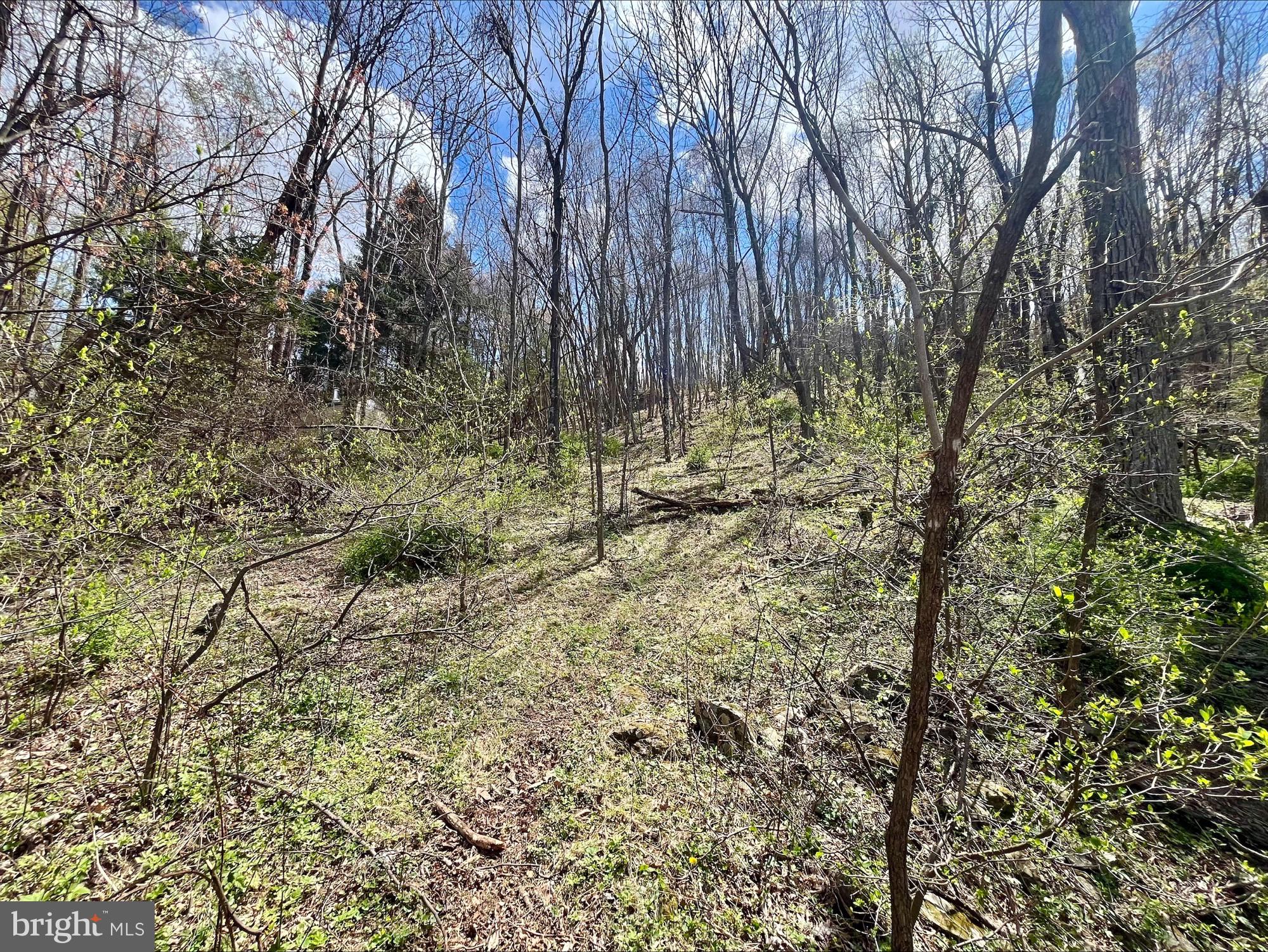 SKYLINE LAKES - Land