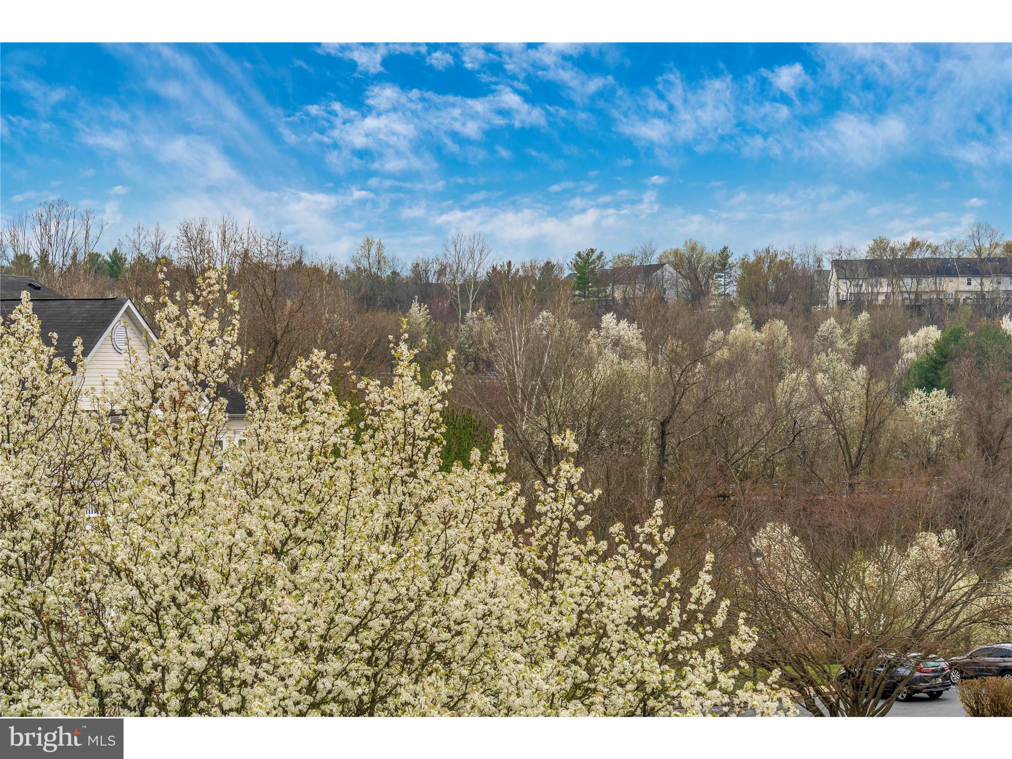 HAMPTON COURT II - Residential