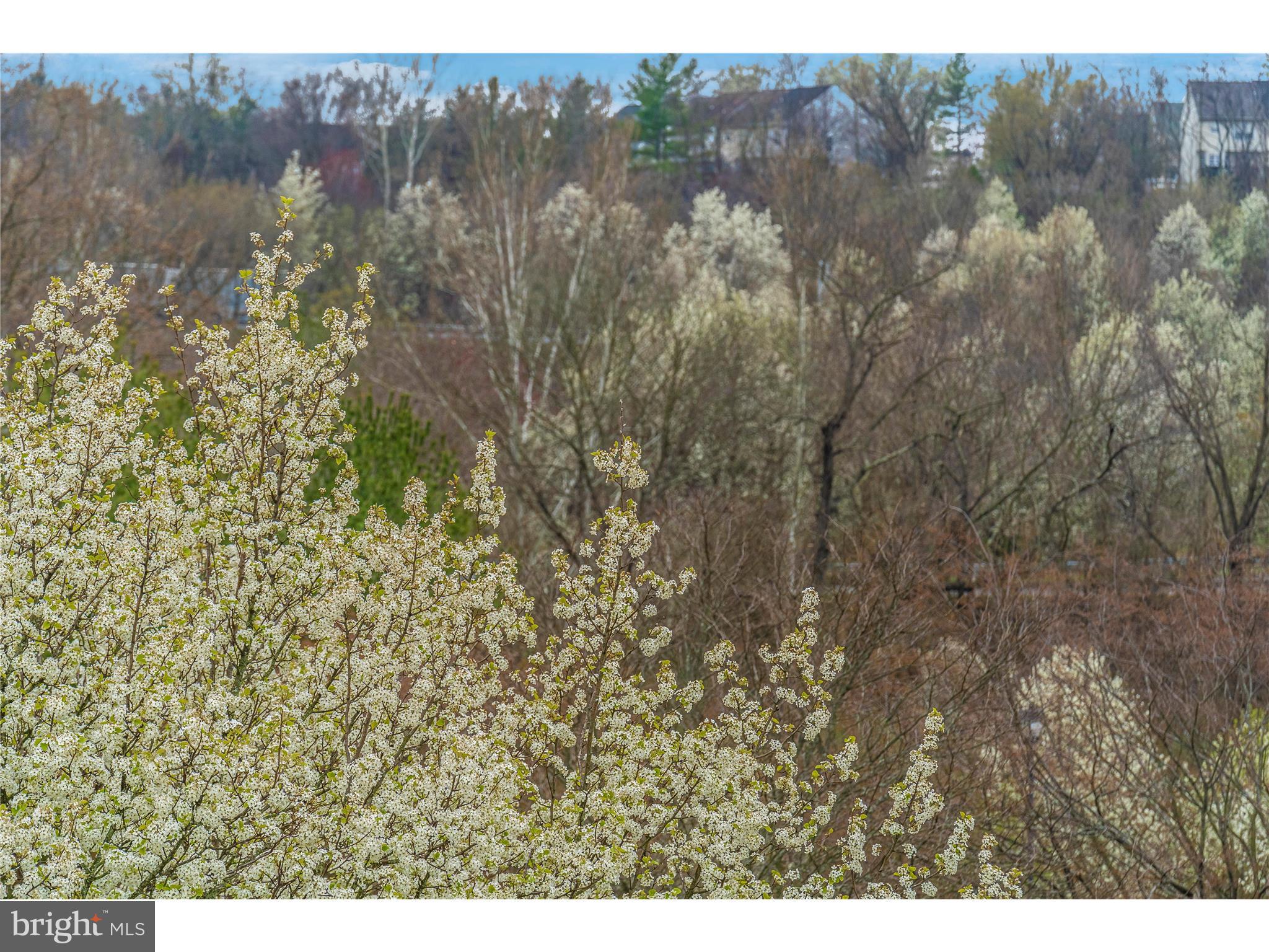 HAMPTON COURT II - Residential