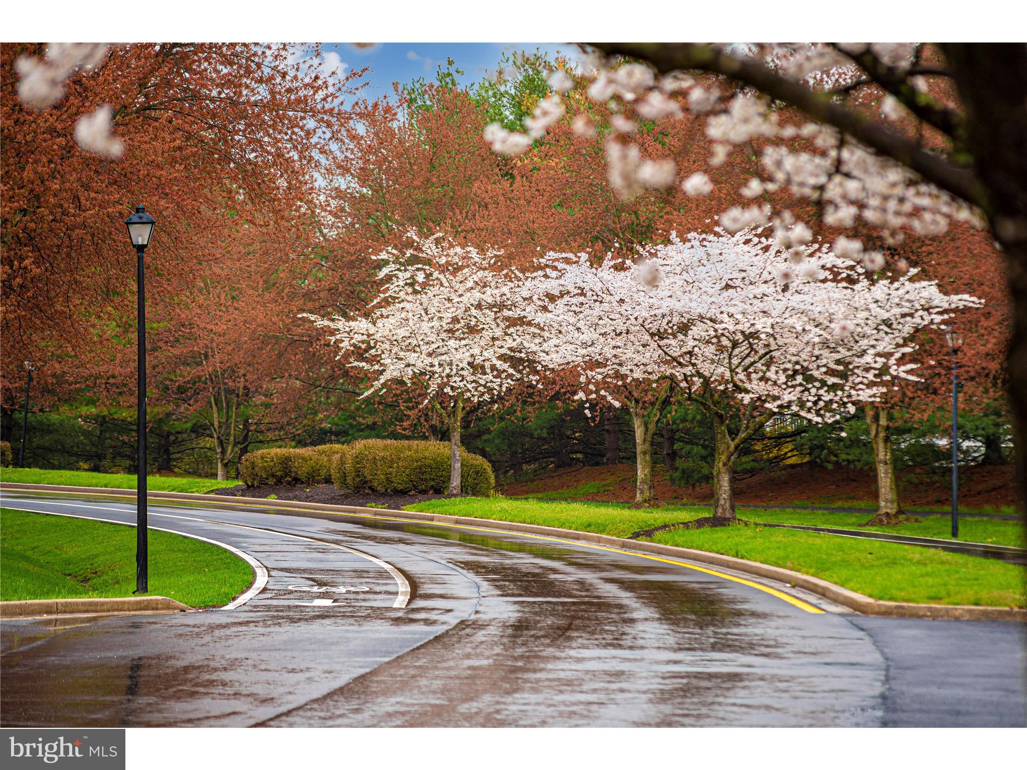 HAMPTON COURT II - Residential