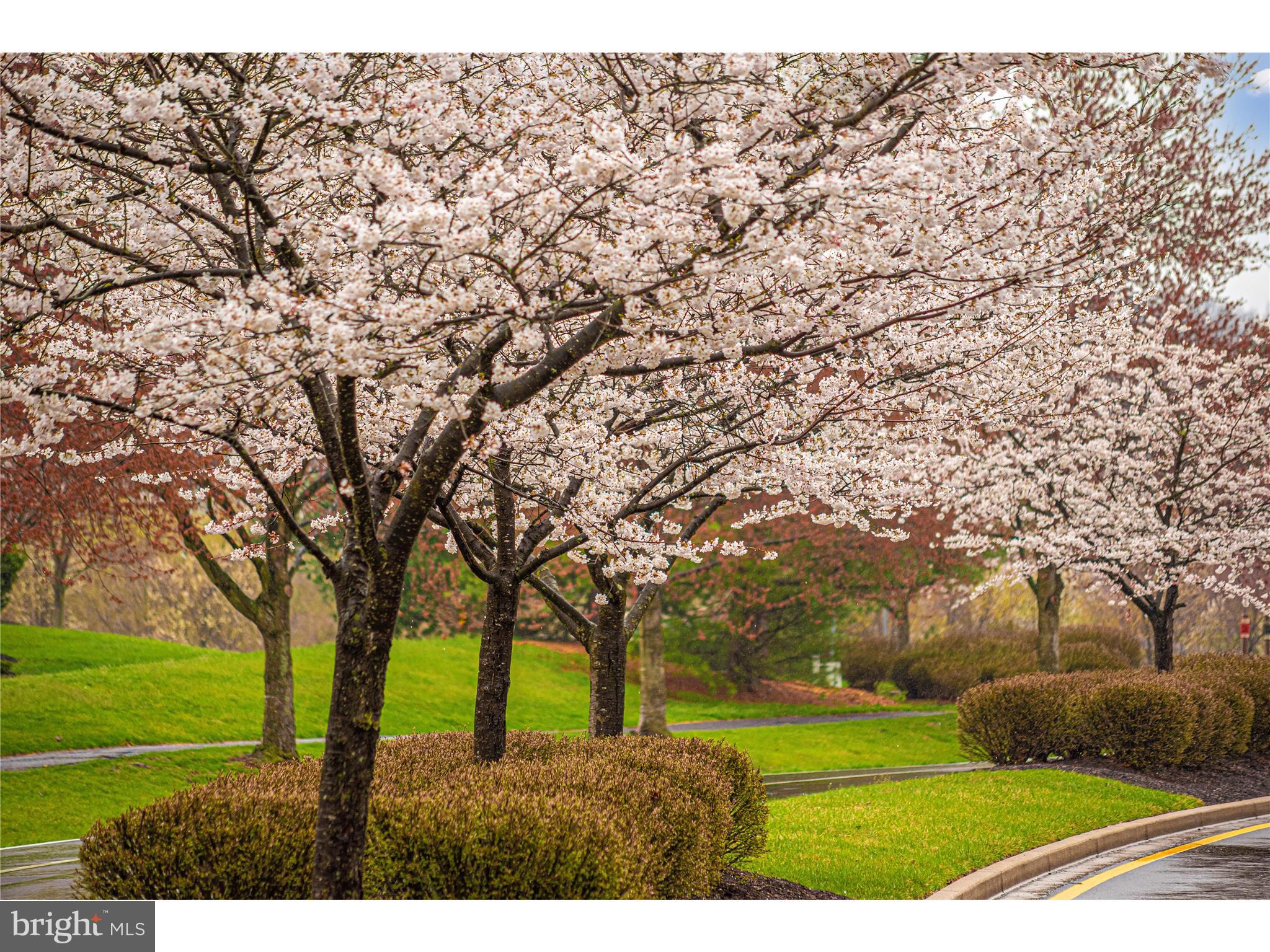 HAMPTON COURT II - Residential