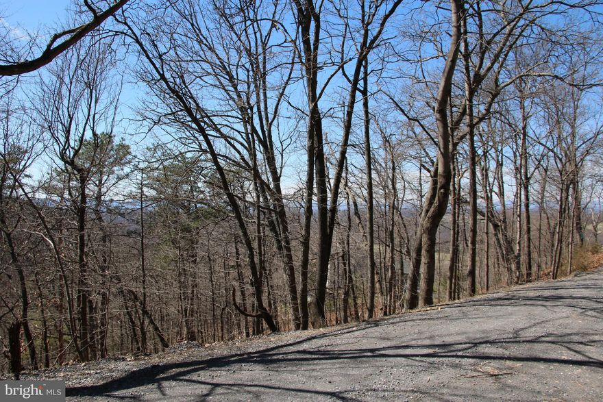 Located just outside Front Royal in the Shenandoah Farms community. Access is secured via road frontage on well maintained Wendy Hill Road and Marino Lane. Top notch views of the surrounding countryside can be seen year round with some tree clearing. The topography is steep and utilities are running along Wendy Hill Road making for affordable connections. Zoned Residential and fully wooded. Commuters will love this location with quick access to US-50 and US-66. The Shenandoah River can be accessed nearby along with the thousands of acres of the G.R. Thompson WMA for those outdoor enthusiasts. Don’t miss your opportunity to live here! No soil work has been done.