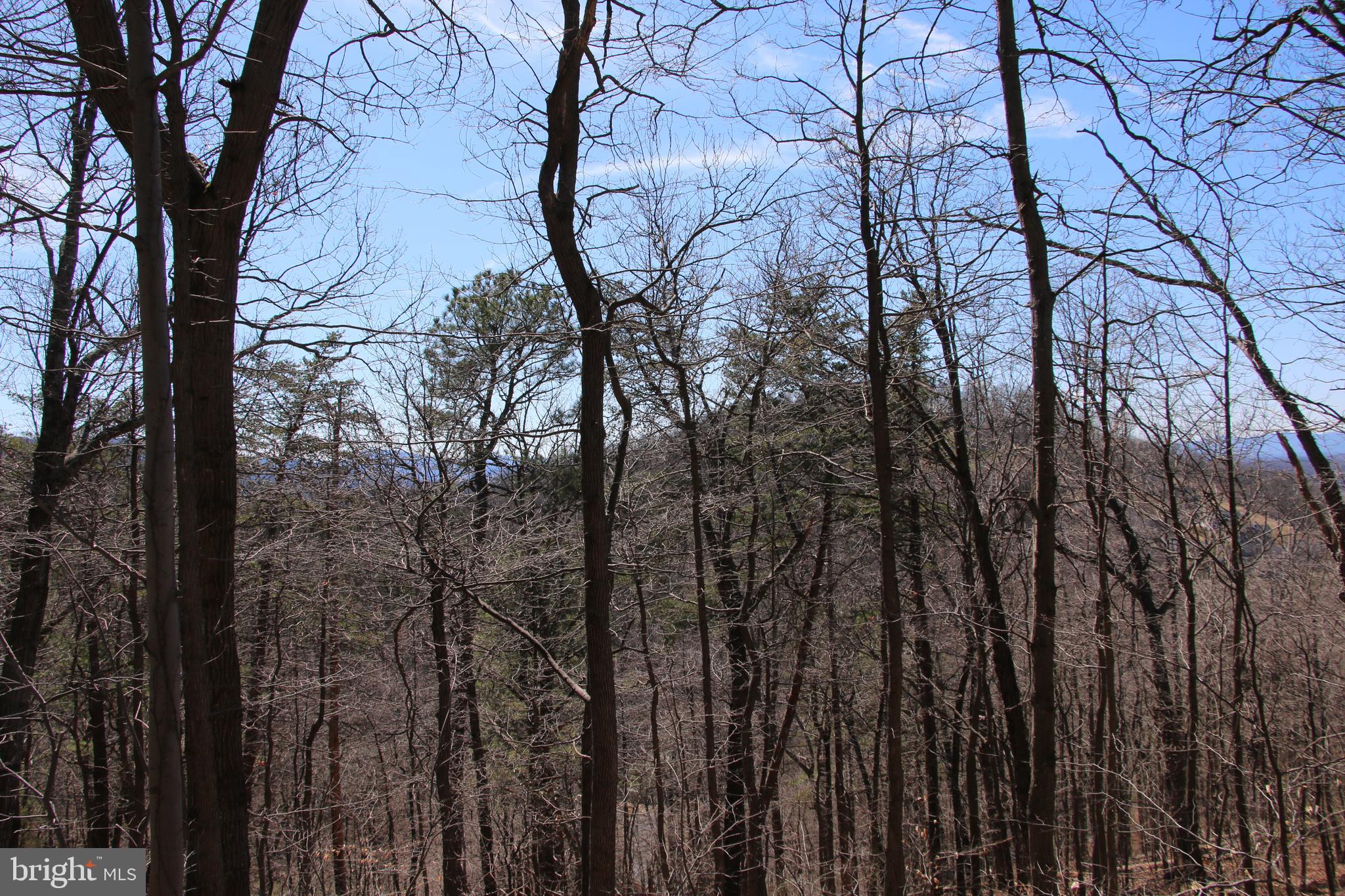 SHENANDOAH FARMS - Land