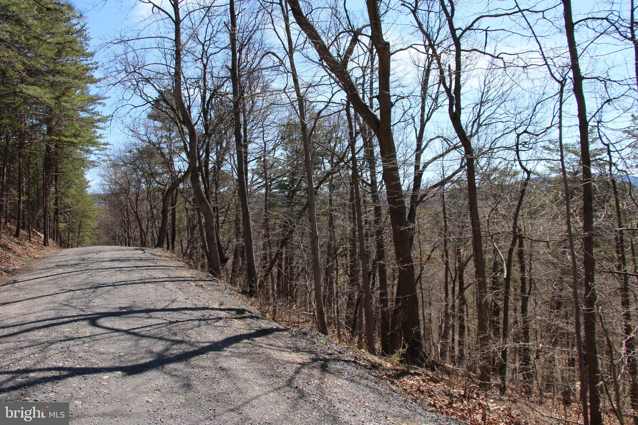 SHENANDOAH FARMS - Land