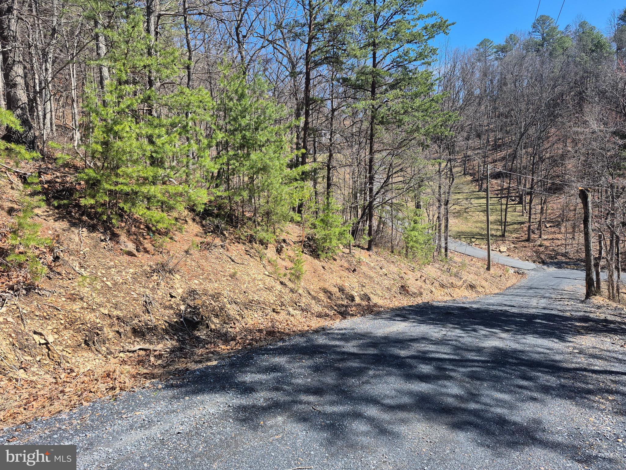 SHENANDOAH FARMS - Land