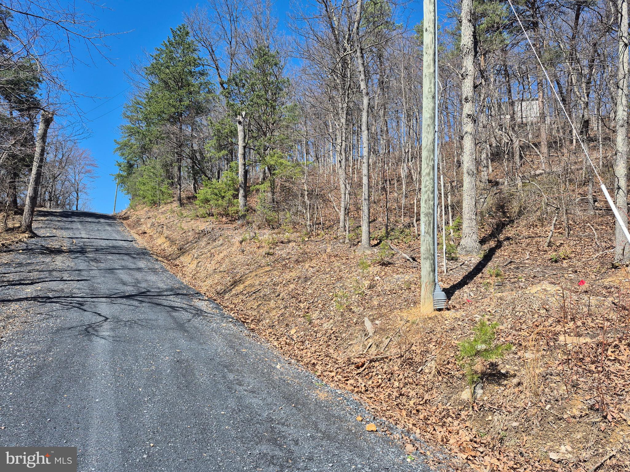 SHENANDOAH FARMS - Land