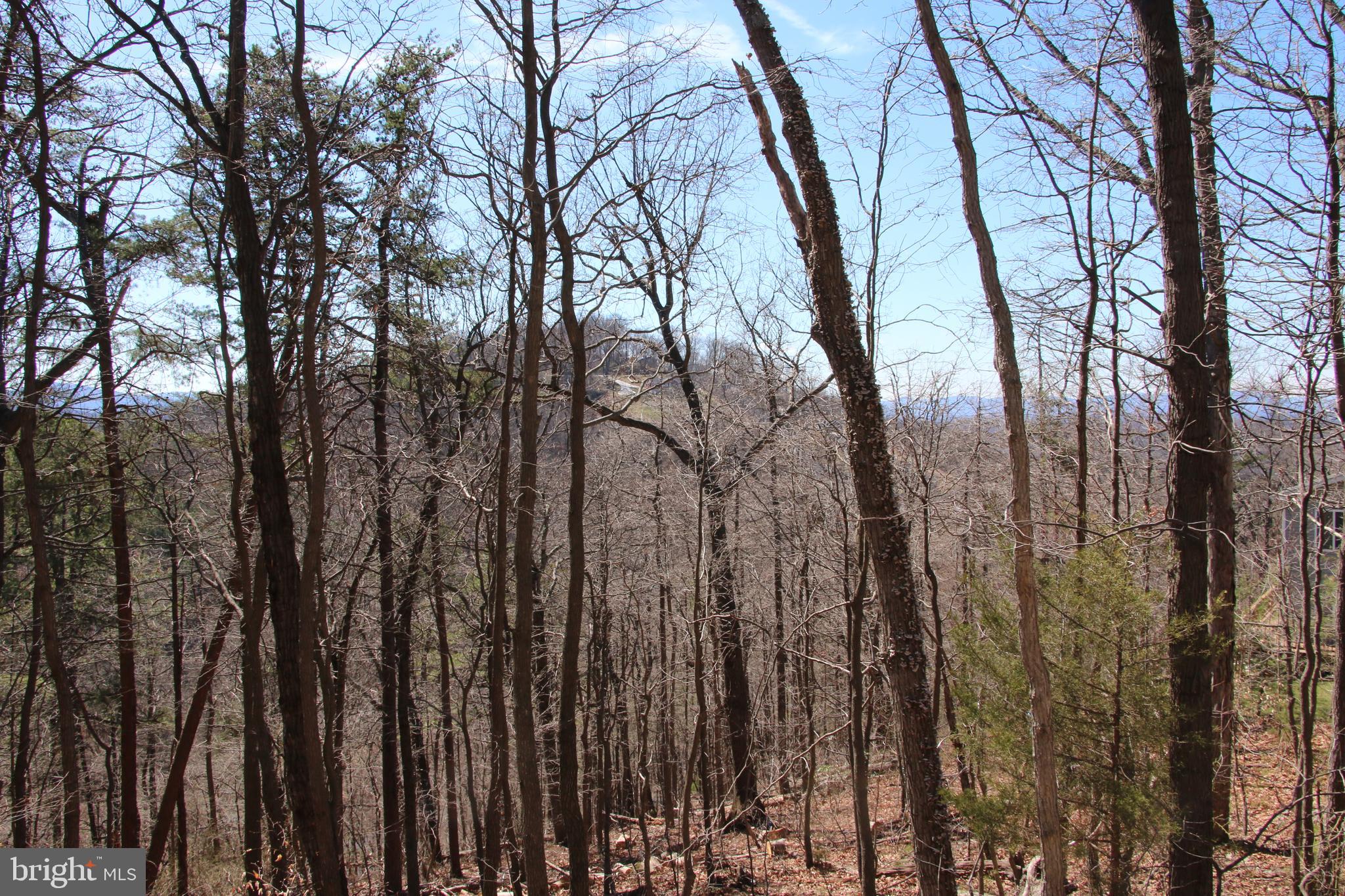 SHENANDOAH FARMS - Land