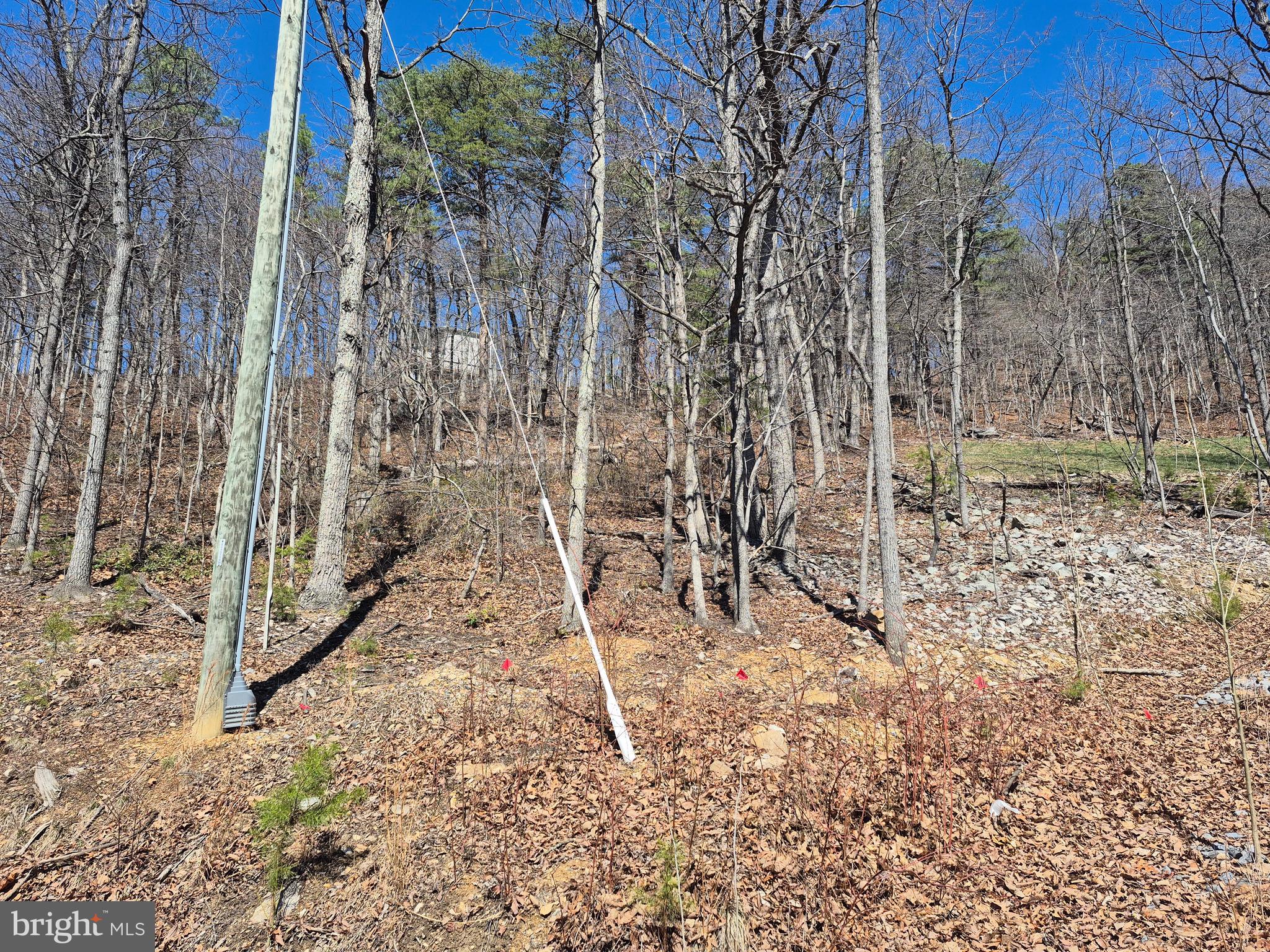 SHENANDOAH FARMS - Land