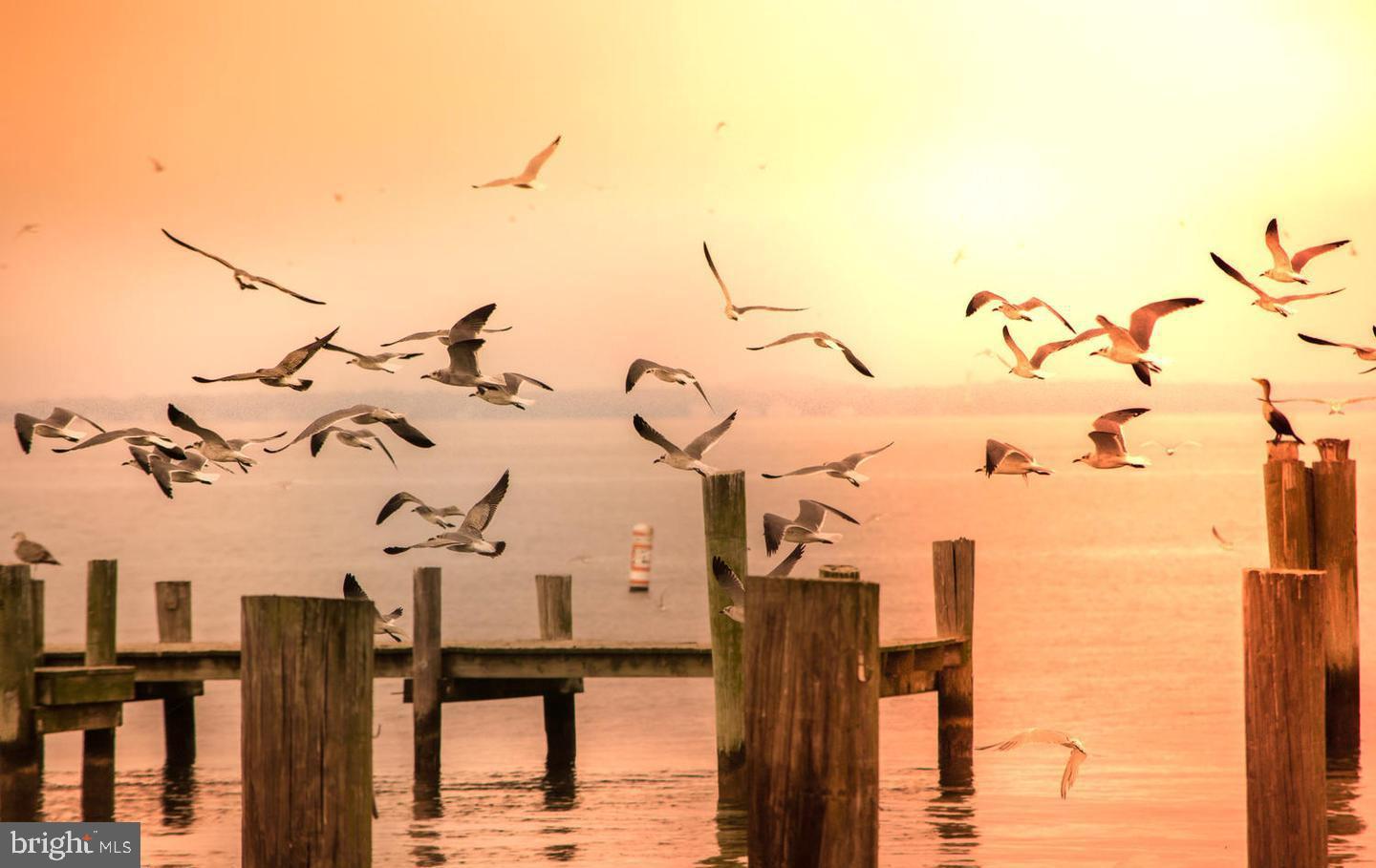 BAY CITY - Residential