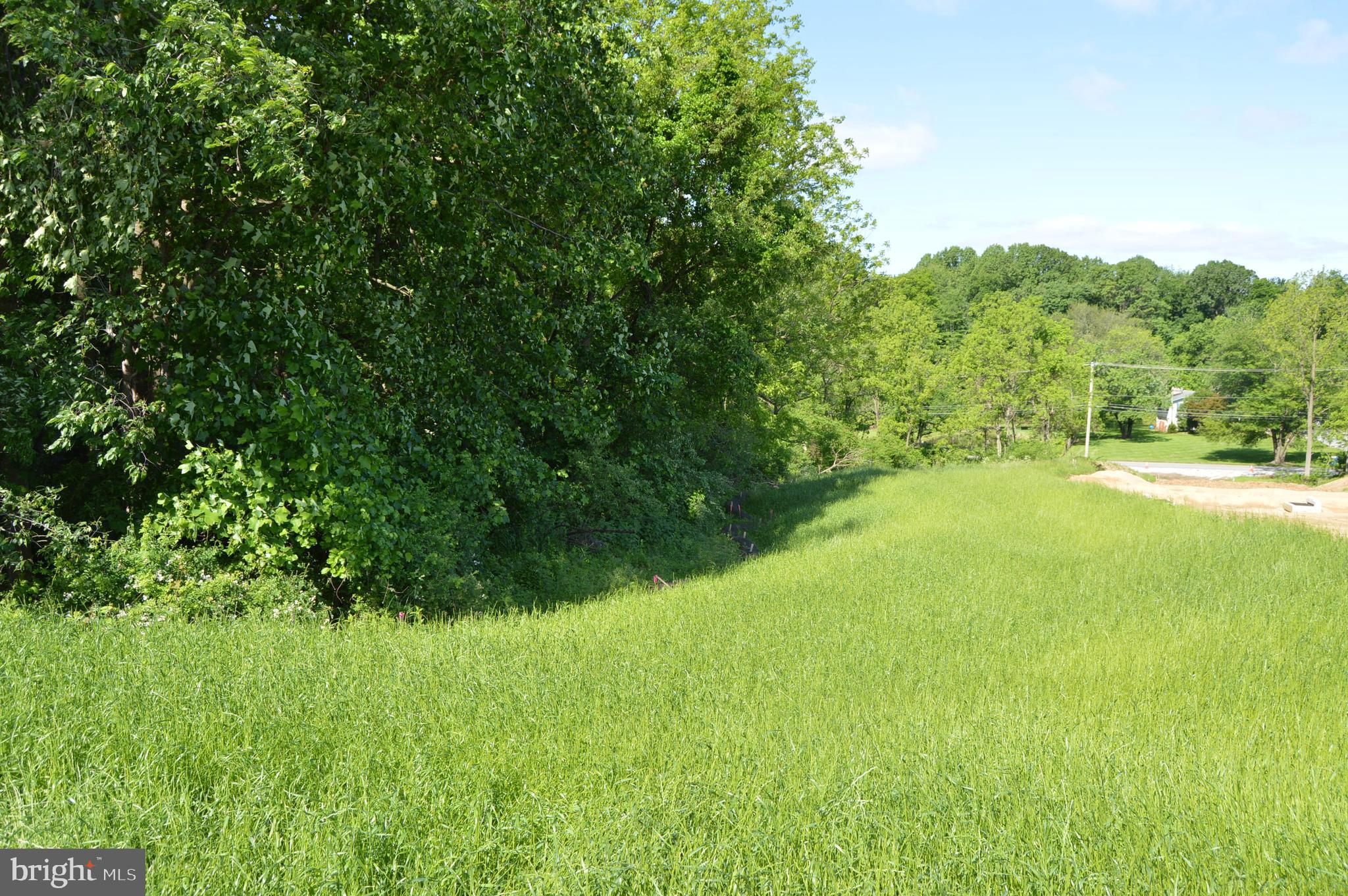 COPPERLEAF RIDGE - Residential