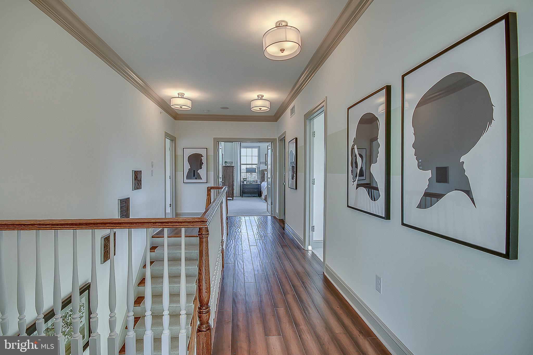 FALCON HILL ESTATES AT WYNDMOOR - Residential