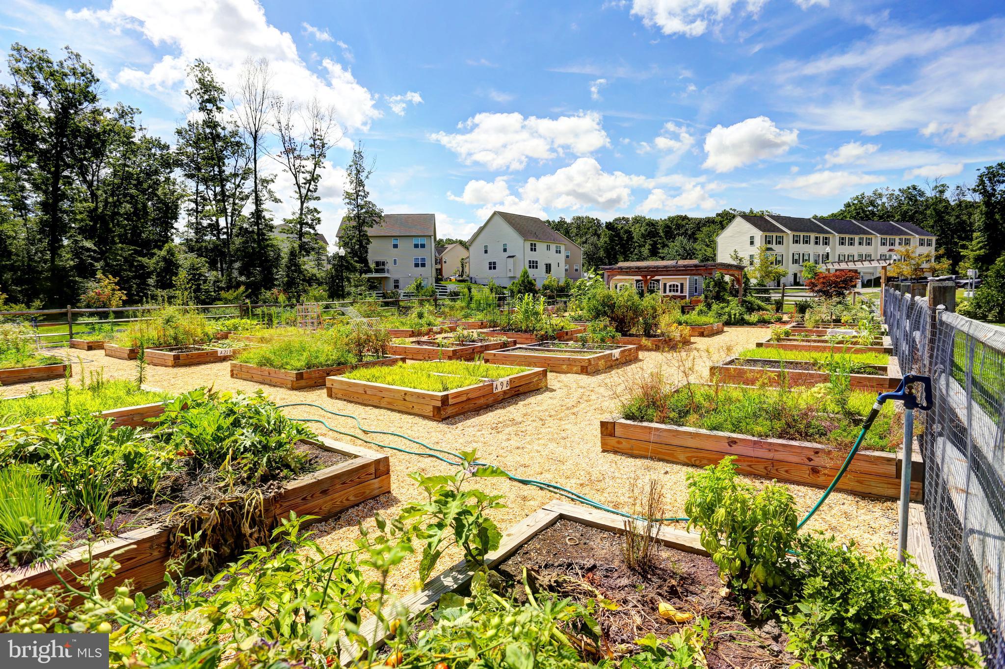 TANYARD SPRINGS - Residential