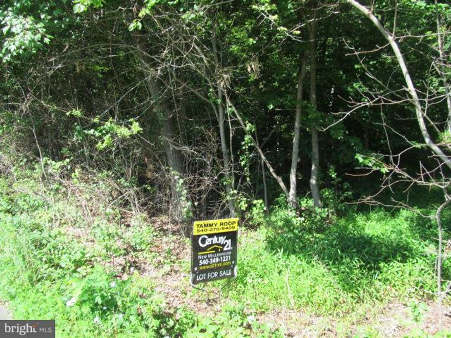 Gorgeous wooded 5 acre lot in the heart of Orlean- perfect to build your dream home.  In the past the lot had perced for 5 BR conventional system, needs to be updated by purchaser.  Only 10 minutes to I-66- great for commuters. No covenants!