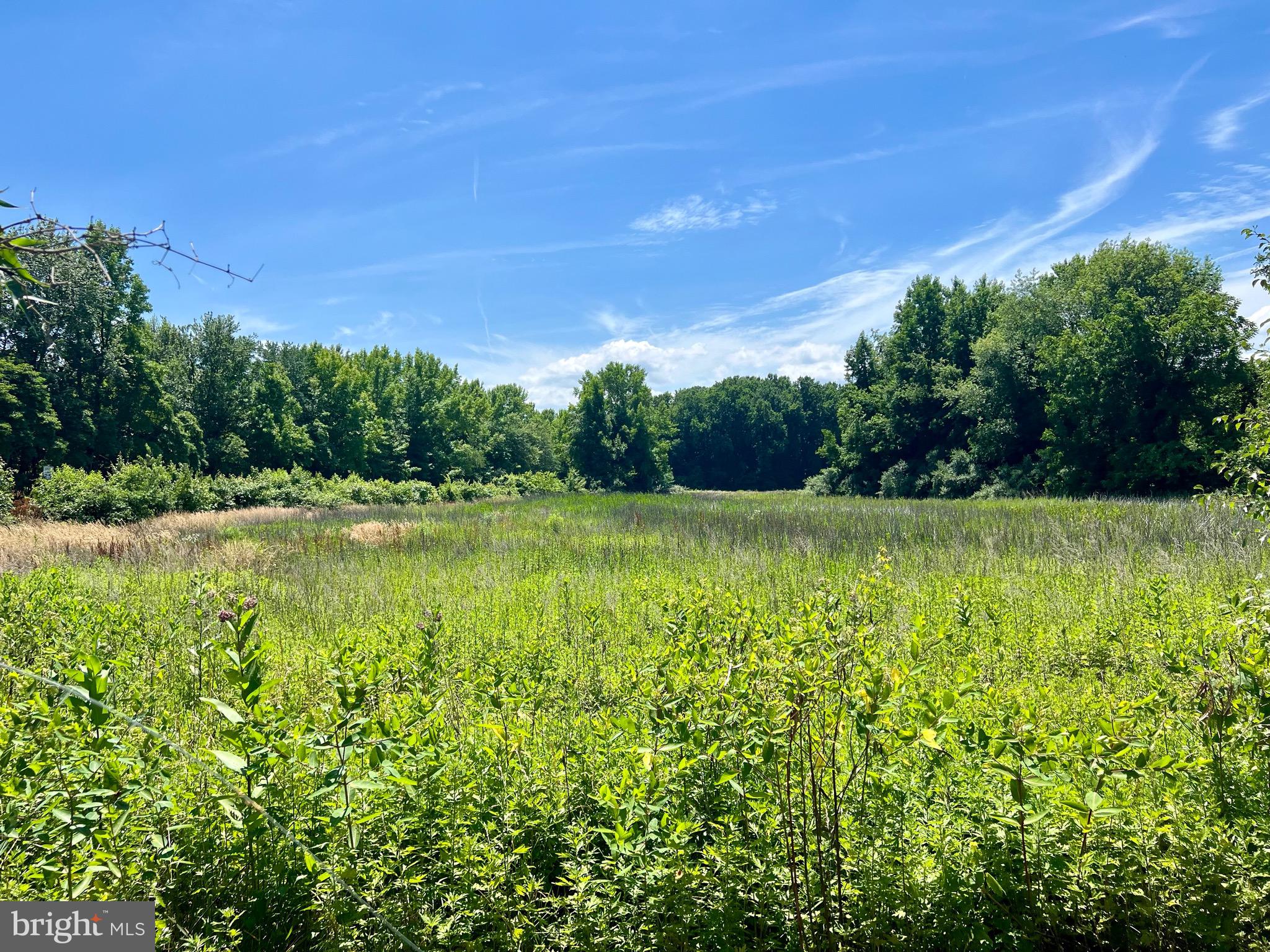 Part of Lot 34 ___HERON AVENUE