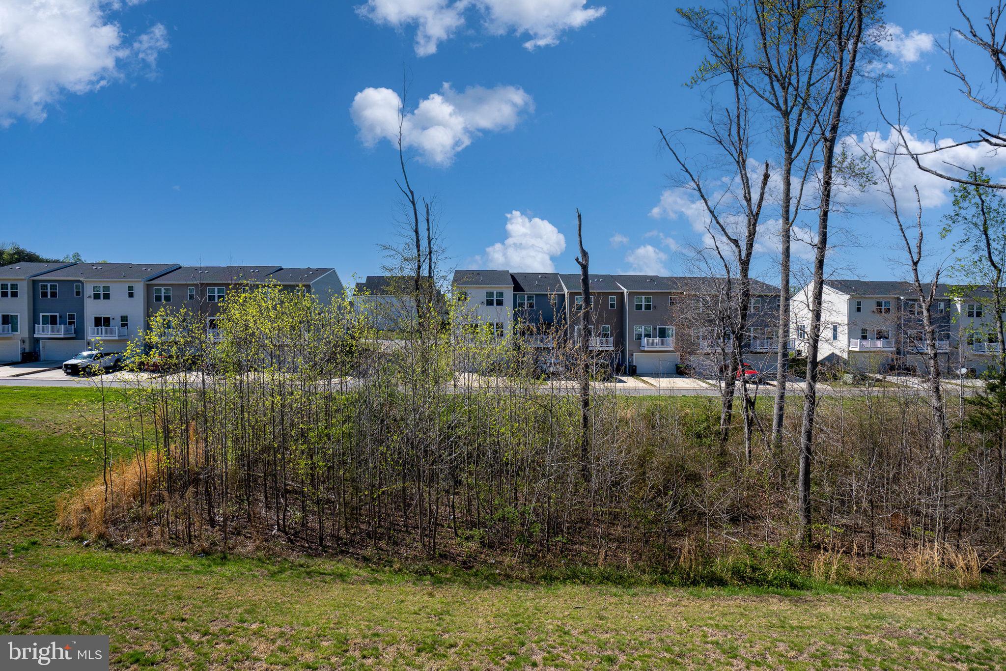 THE VILLAGE AT COURTHOUSE COMMONS - Residential