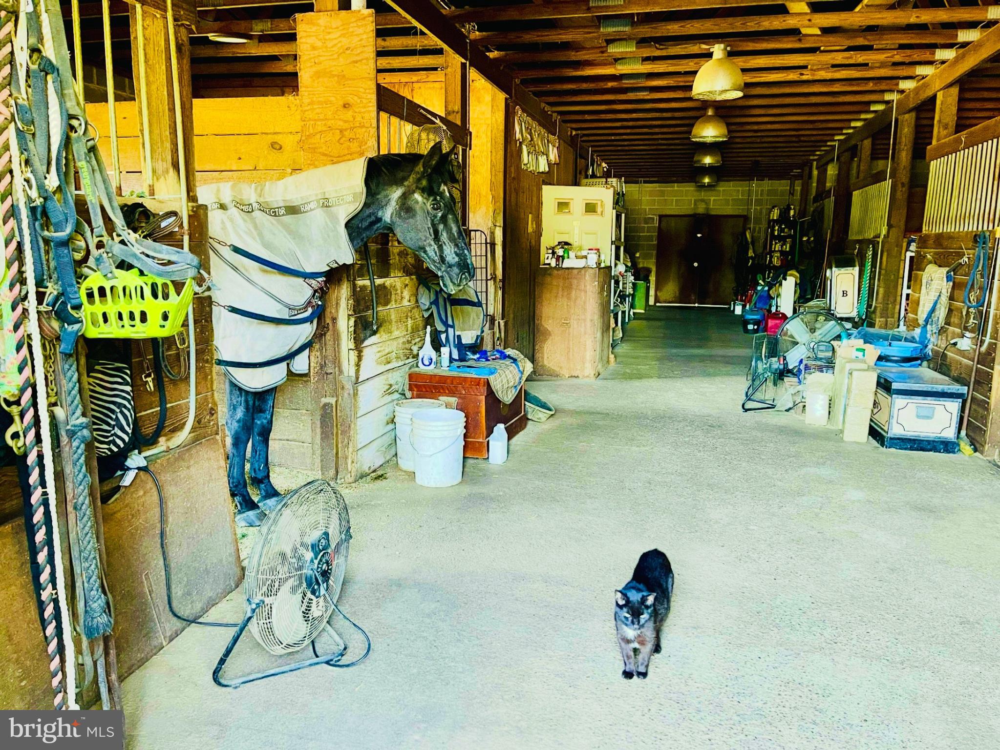 FAIR HAVEN - Residential