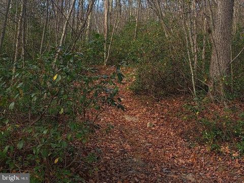 Vacant Land For Sale - Fox Tail Road<br/> OAKLAND, MD 21550