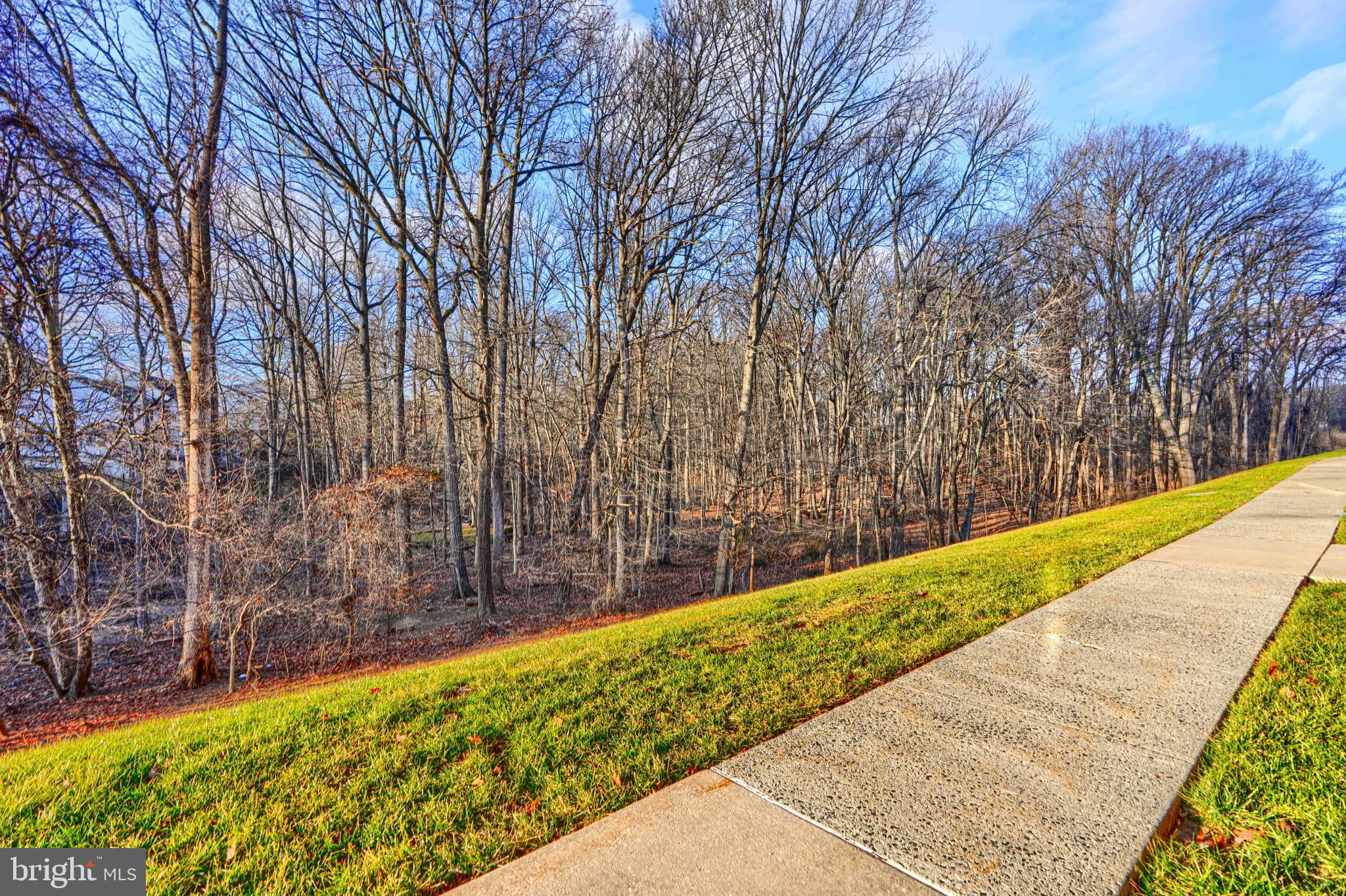 THE POND - Residential
