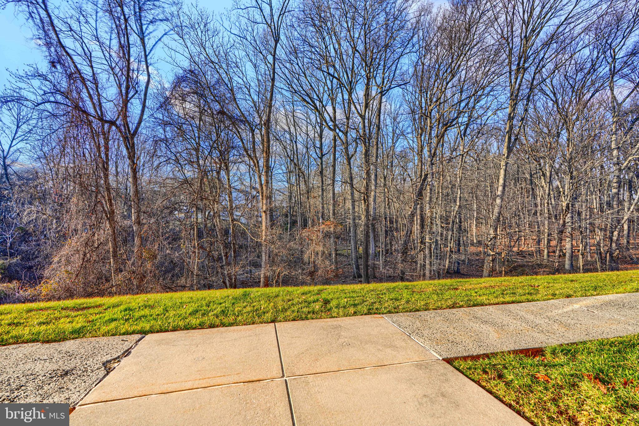 THE POND - Residential