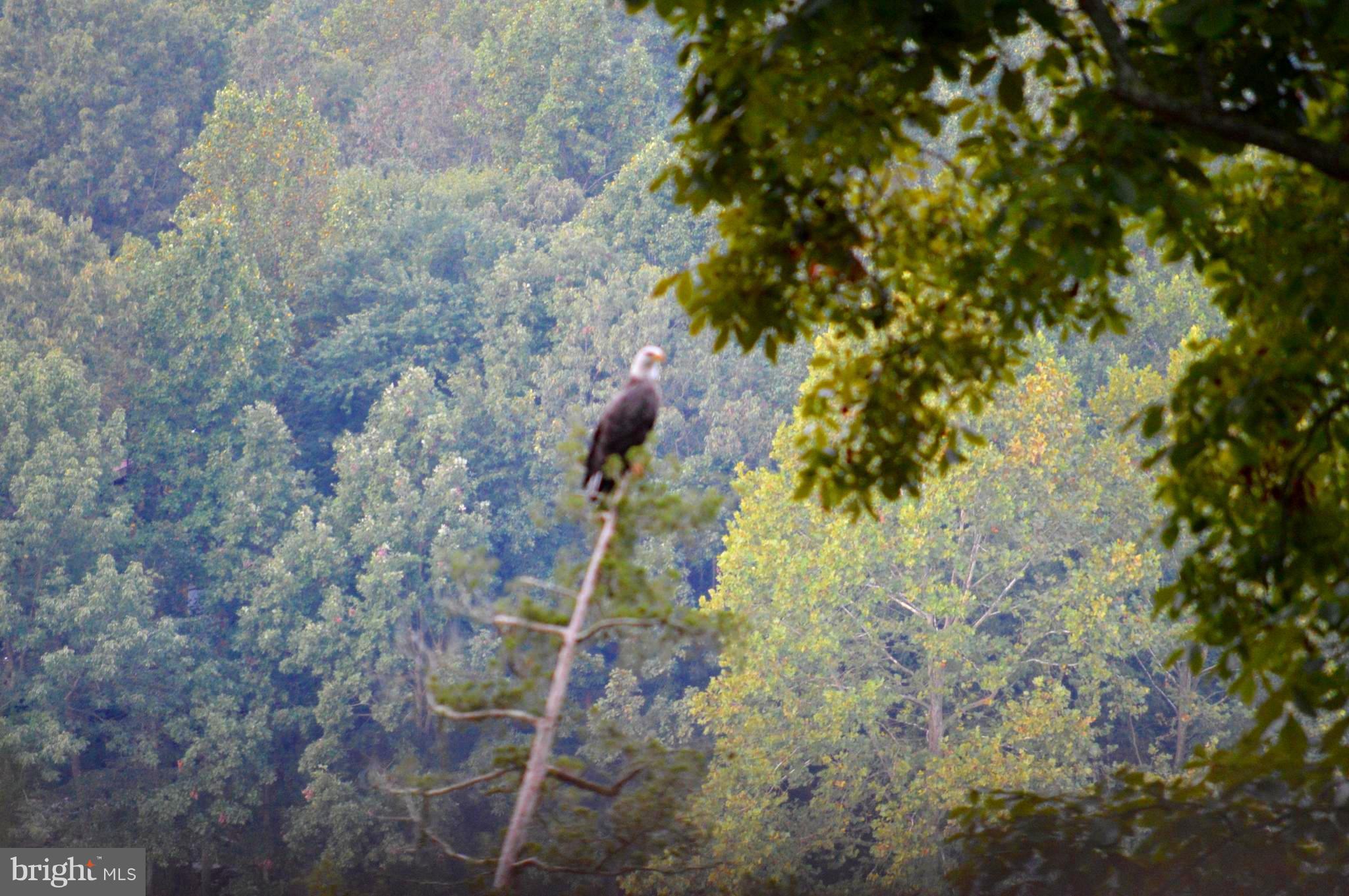 GOVERNORS POINT - Residential